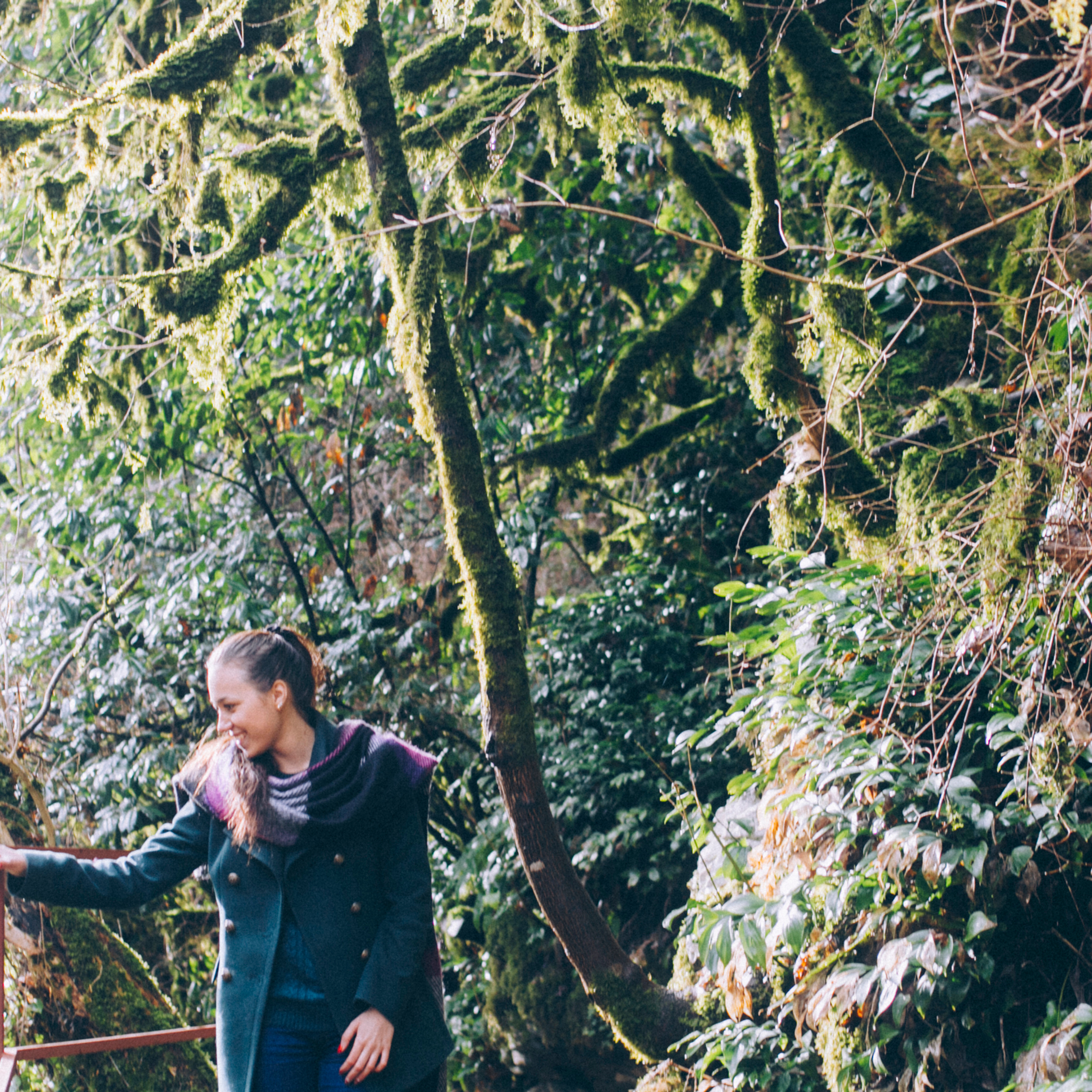 Сочи (декабрь 2017)