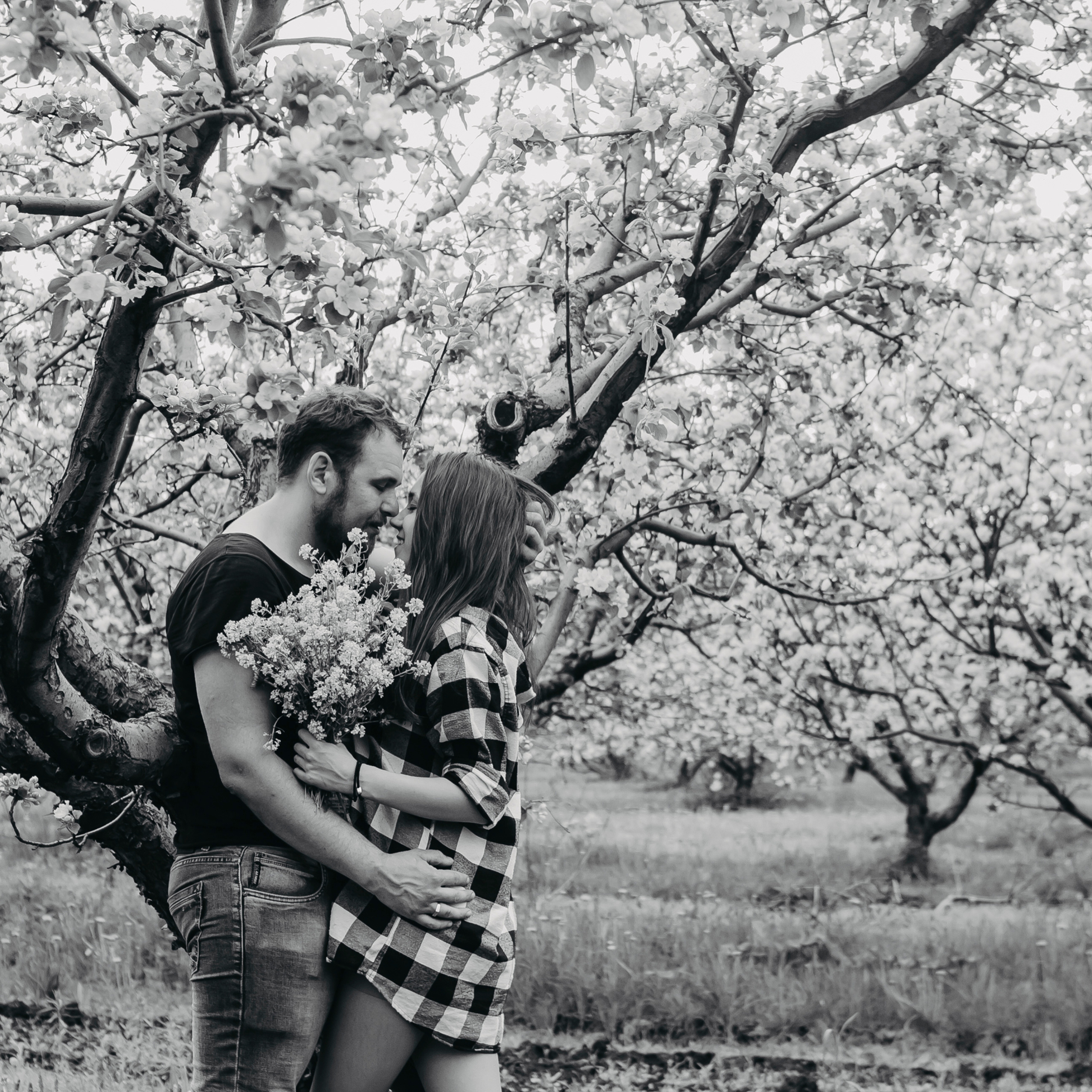 Хвалынские яблоневые сады (май 2019)