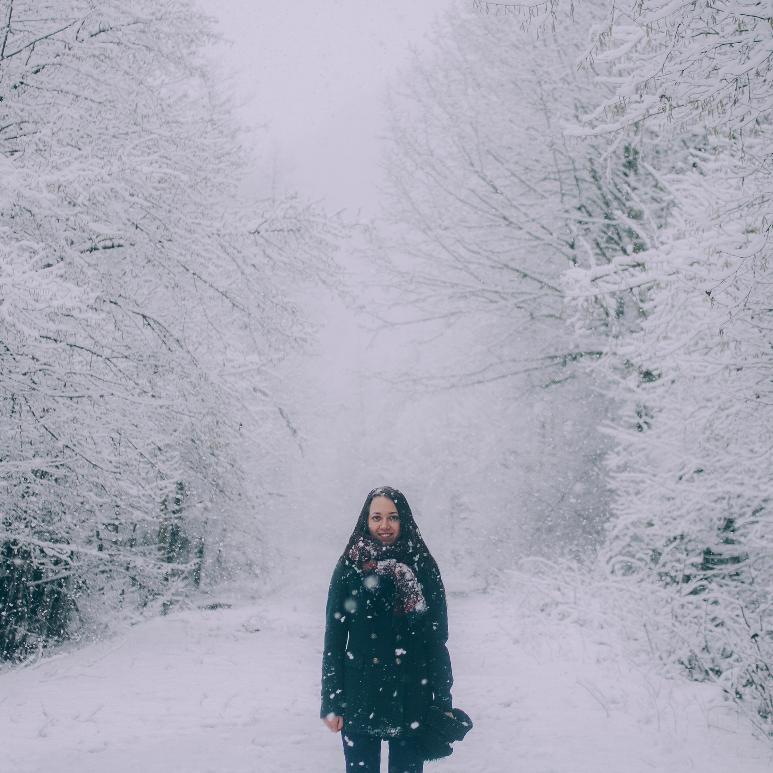 Сочи (декабрь 2017)