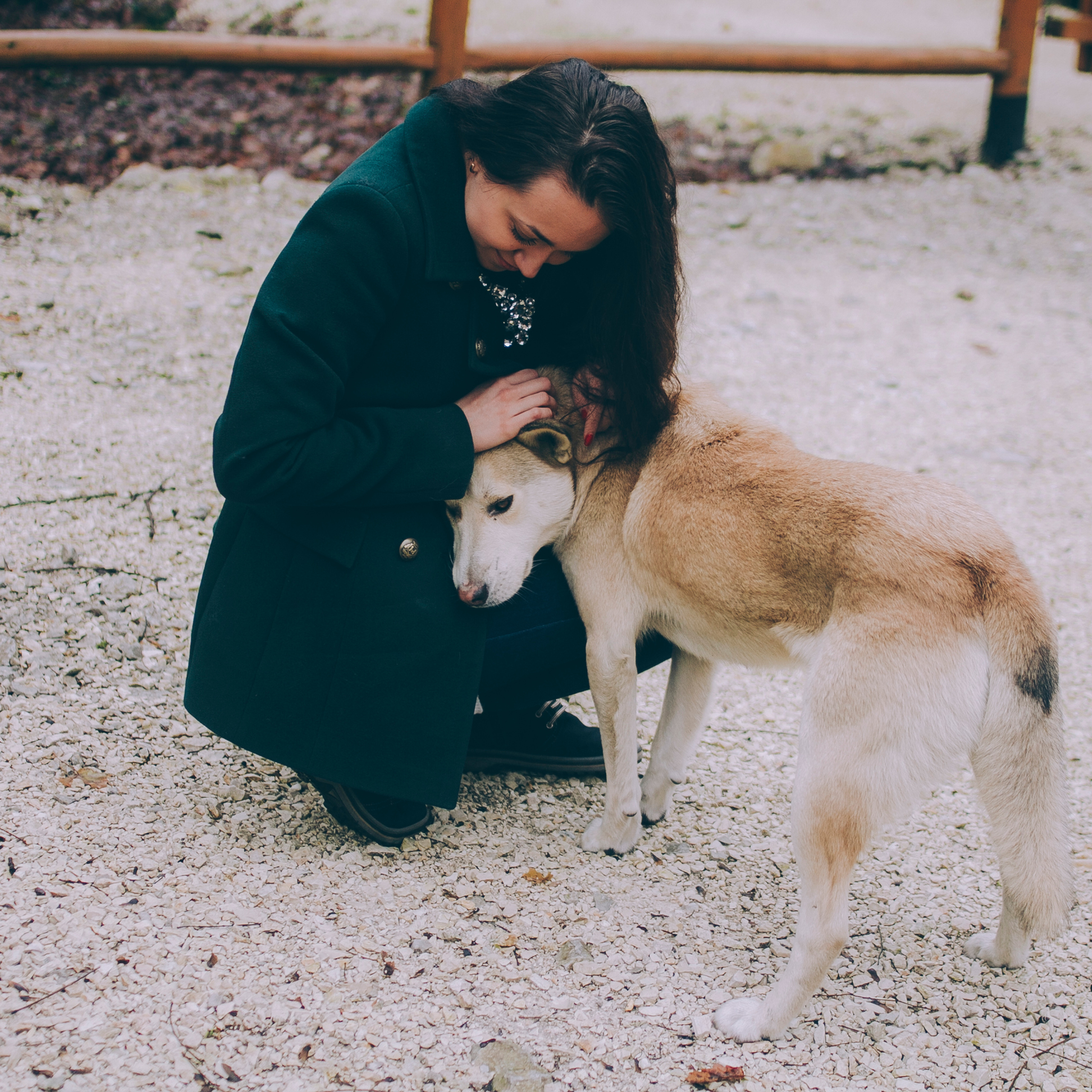 Сочи (декабрь 2017)