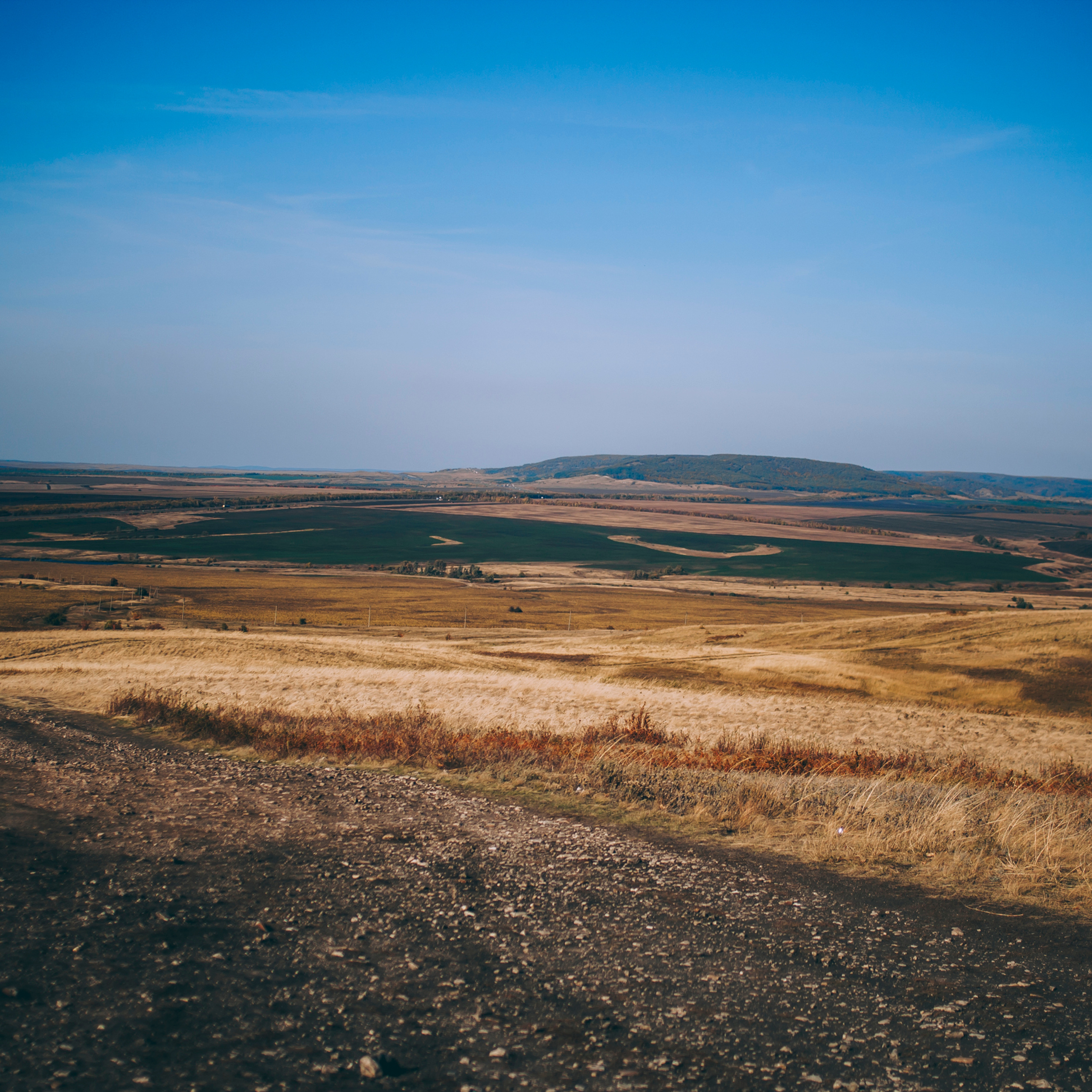 Поле у АЭС Балаково (октябрь 2018)