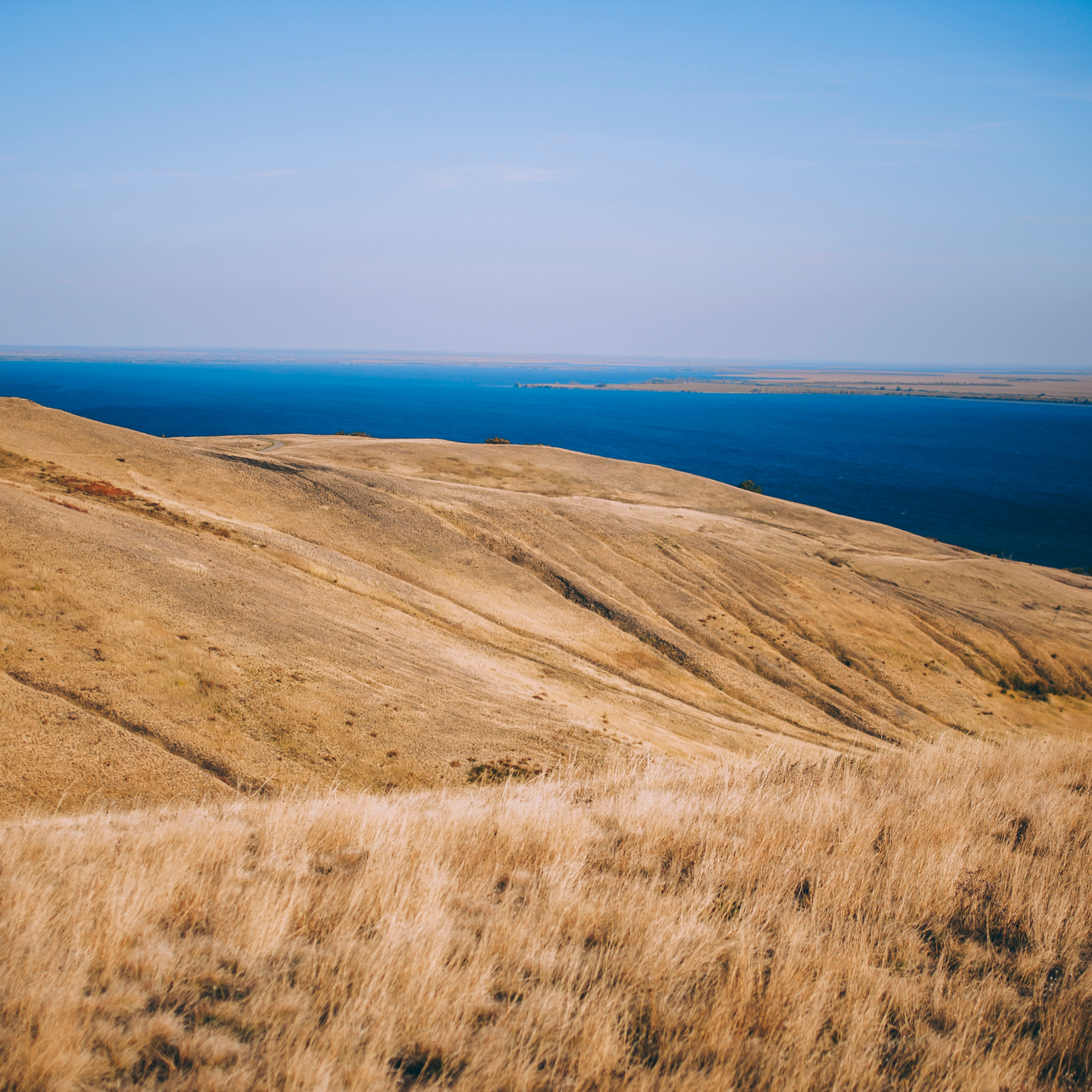 Поле у АЭС Балаково (октябрь 2018)
