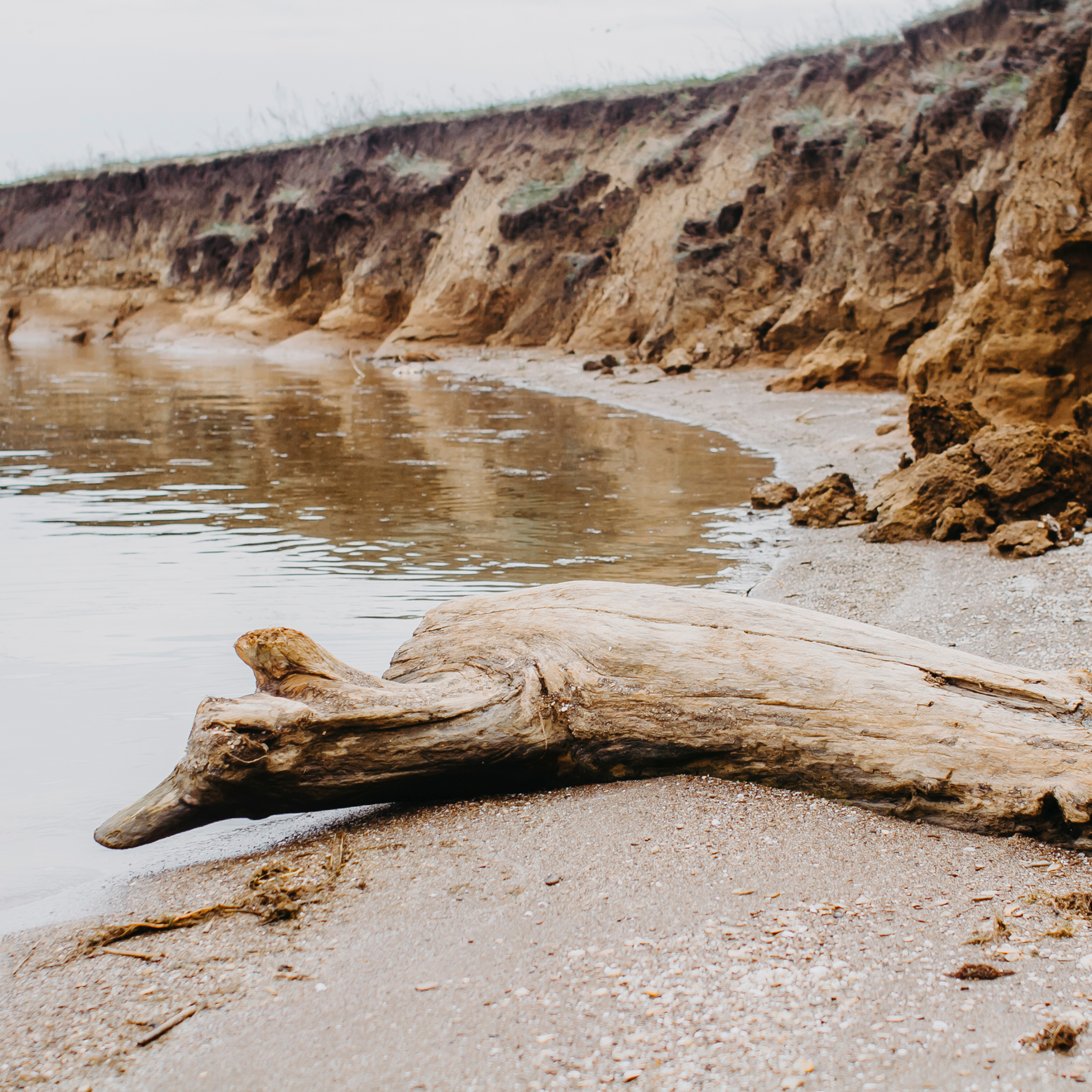 Хвалынские яблоневые сады (май 2019)