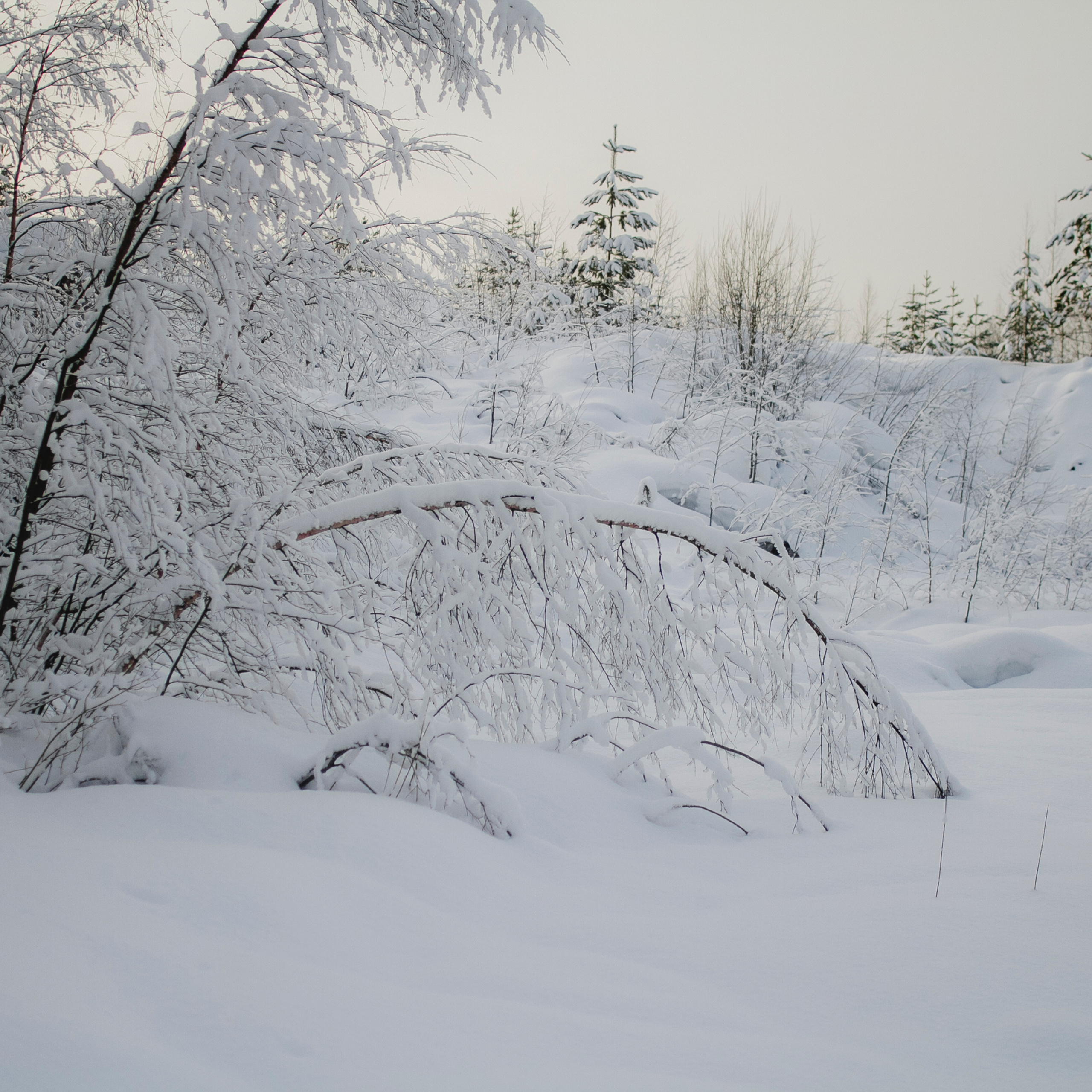 Рускеала Карелия (февраль 2018)
