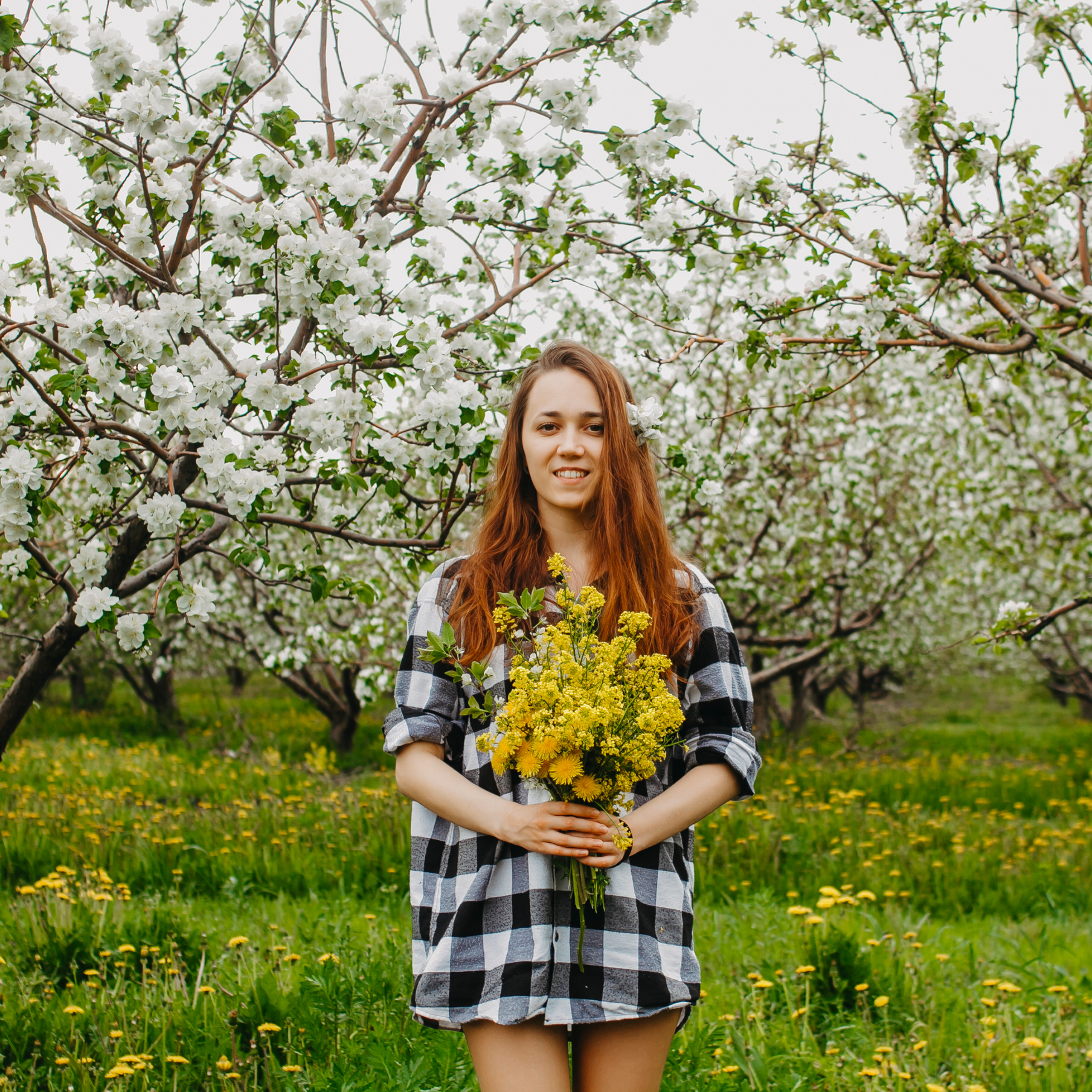 Хвалынские яблоневые сады (май 2019)