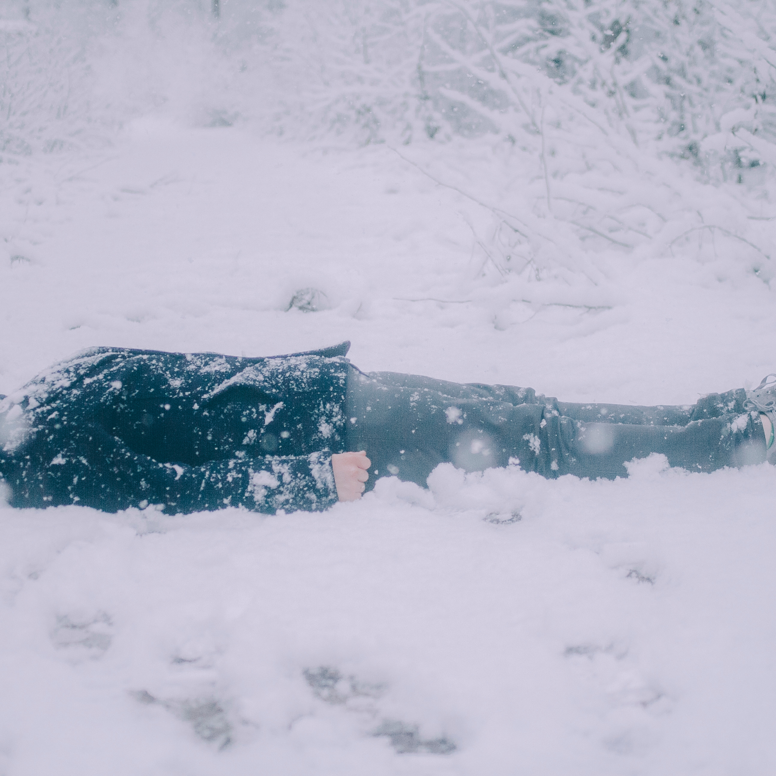 Сочи (декабрь 2017)