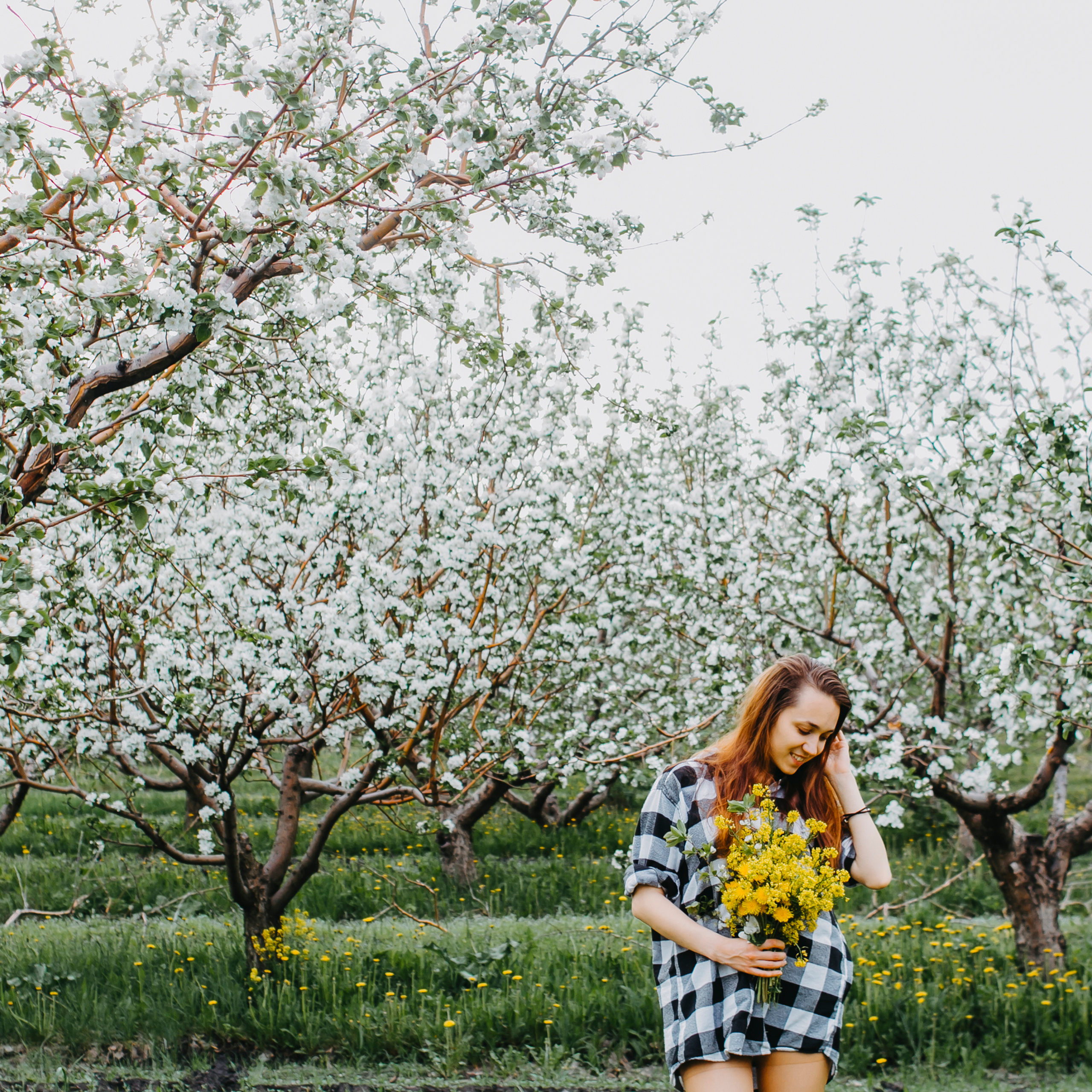 Хвалынские яблоневые сады (май 2019)