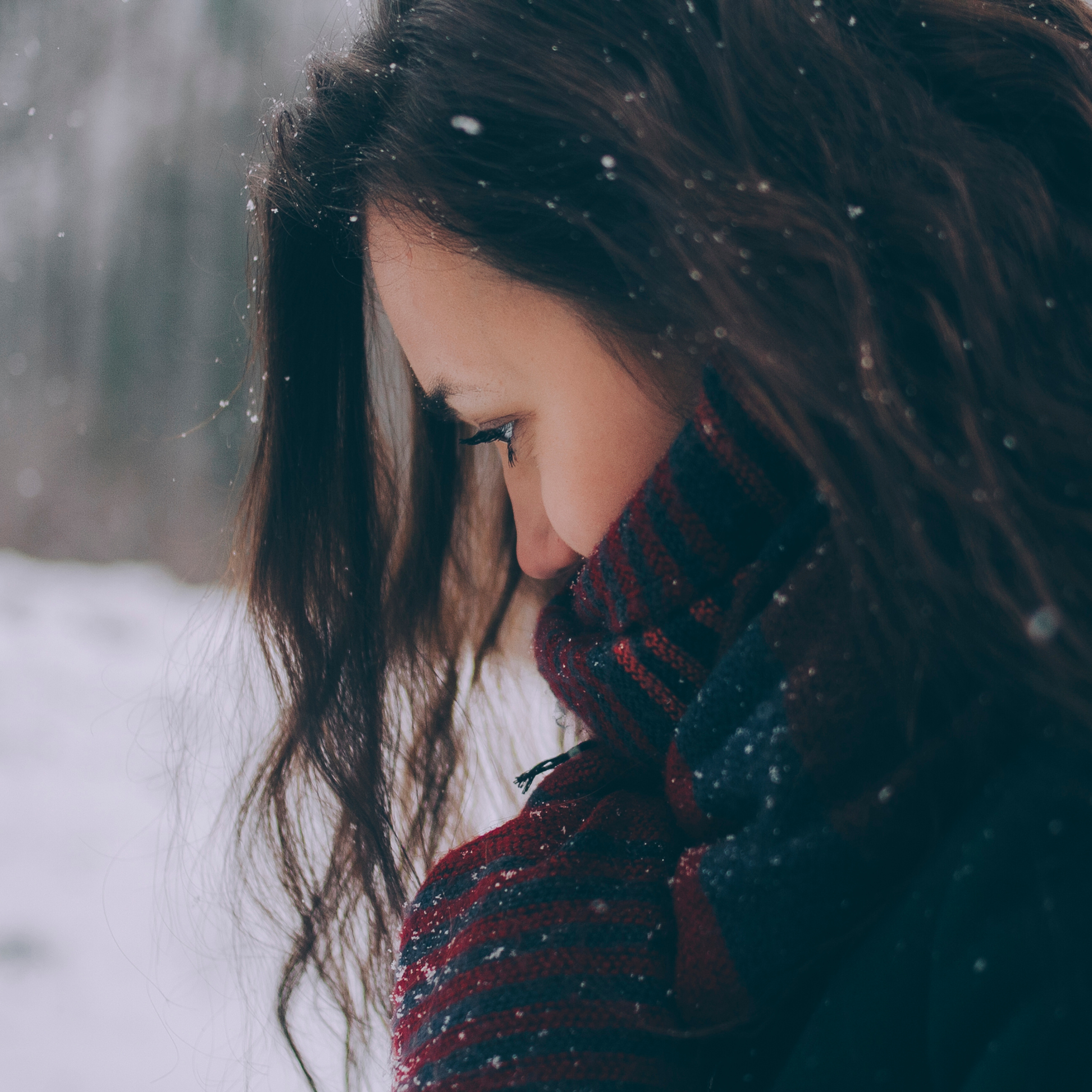 Сочи (декабрь 2017)