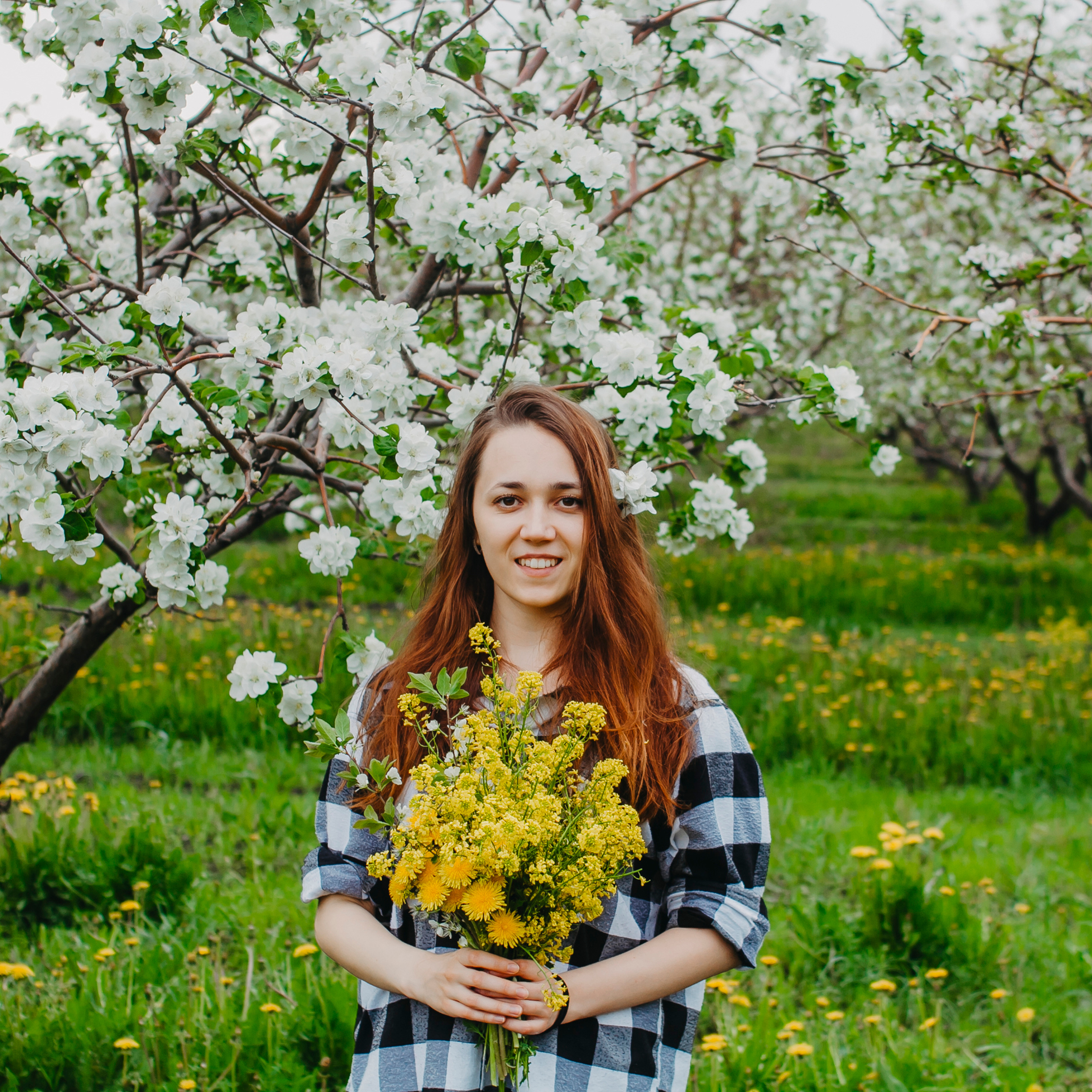 Хвалынские яблоневые сады (май 2019)