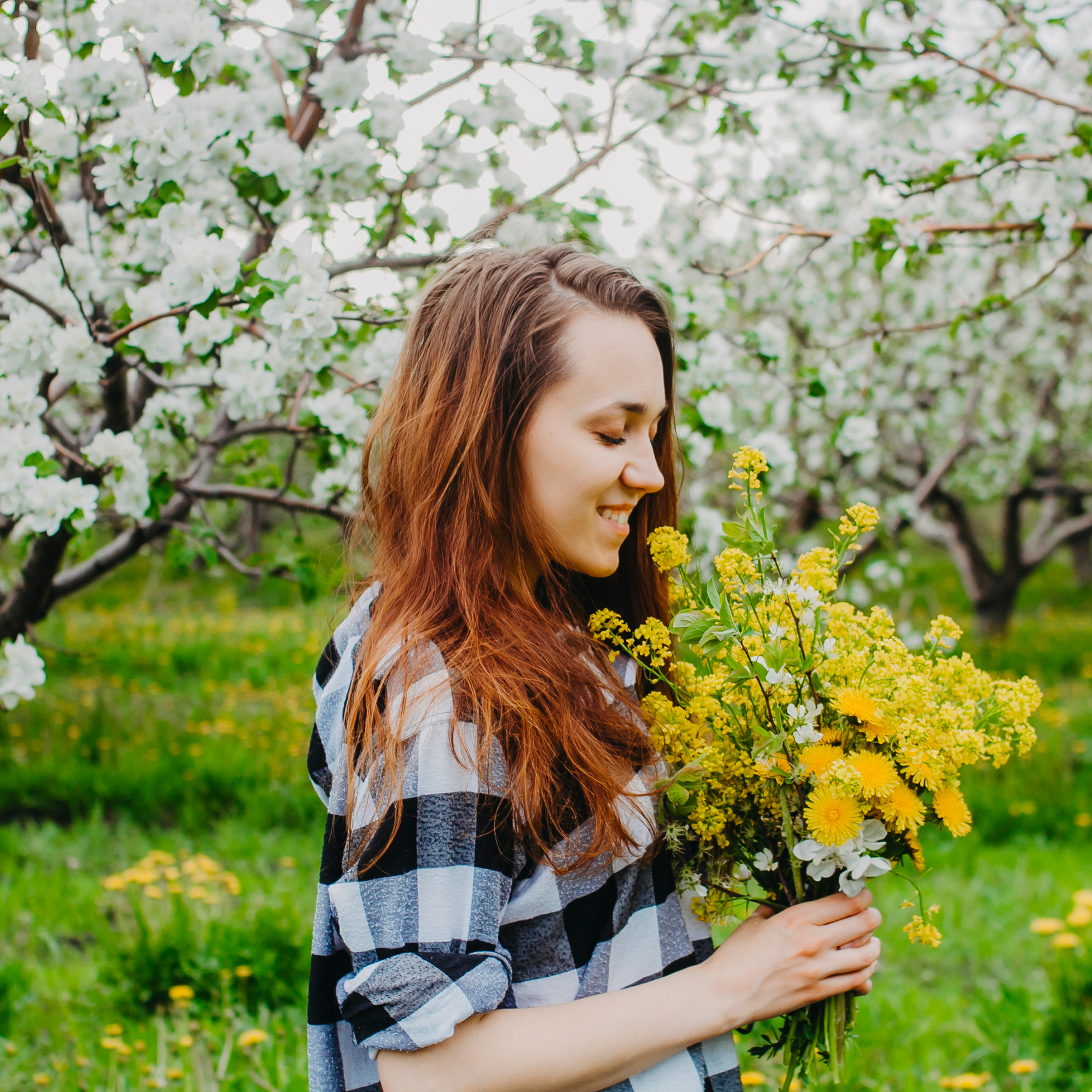 Хвалынские яблоневые сады (май 2019)