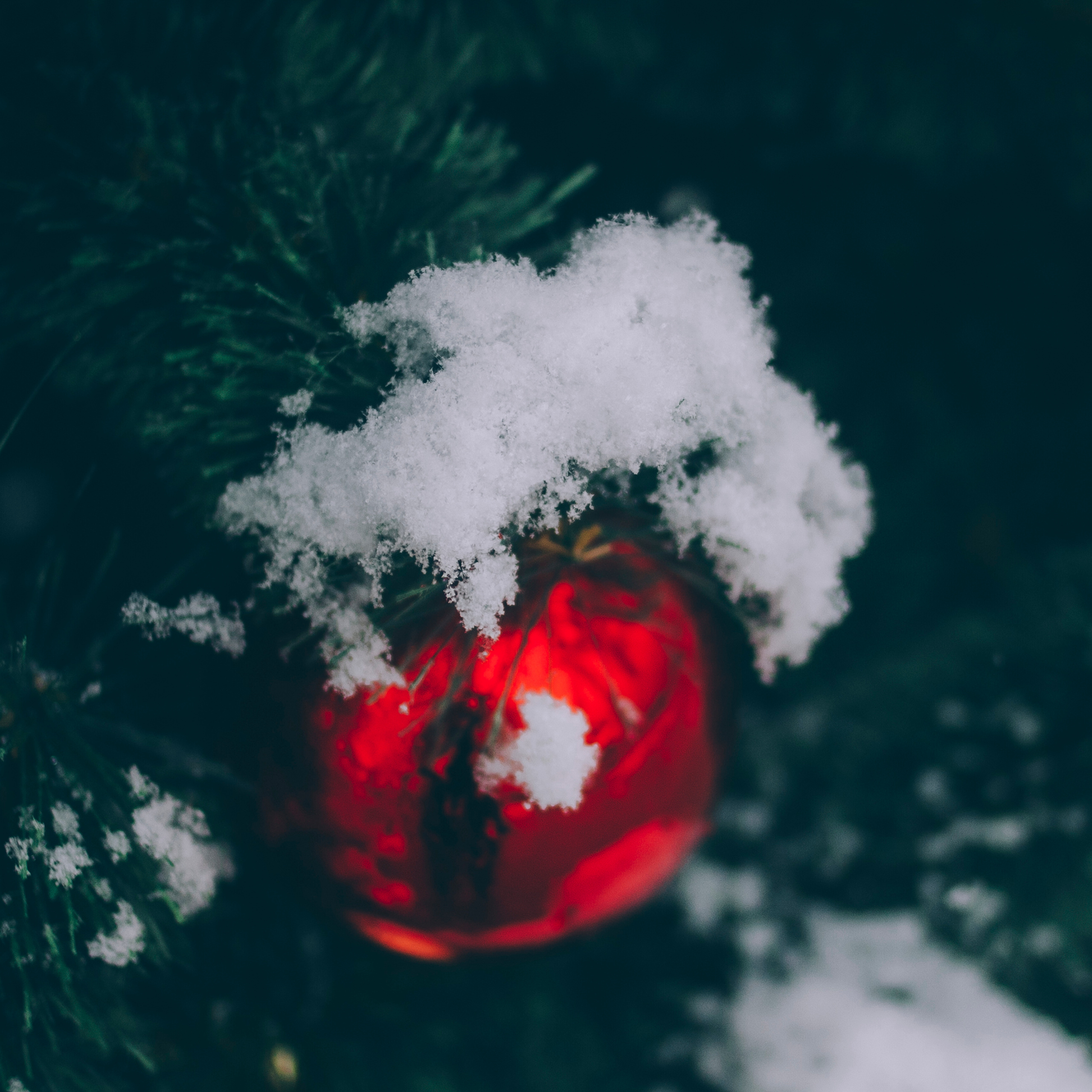 Сочи (декабрь 2017)