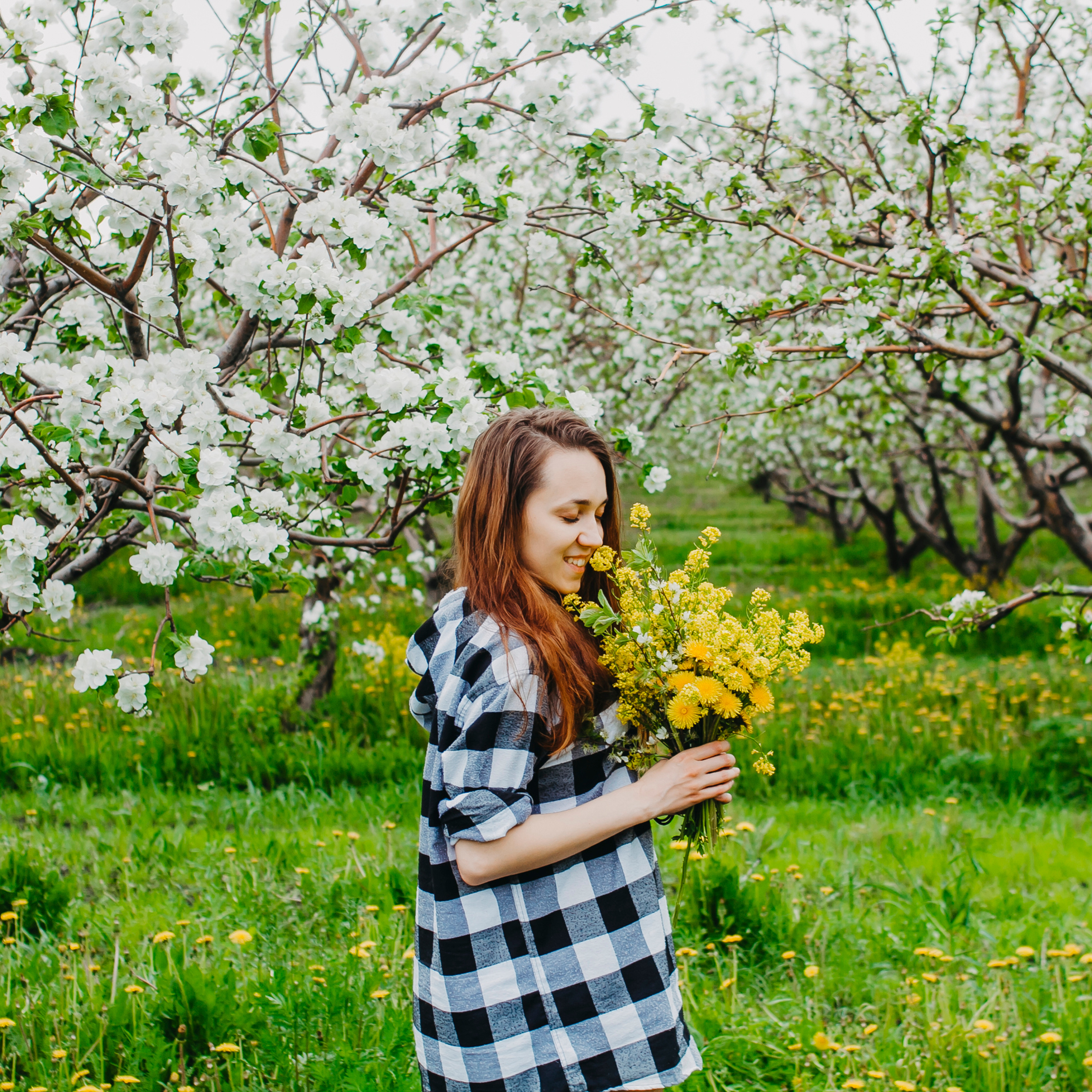 Хвалынские яблоневые сады (май 2019)
