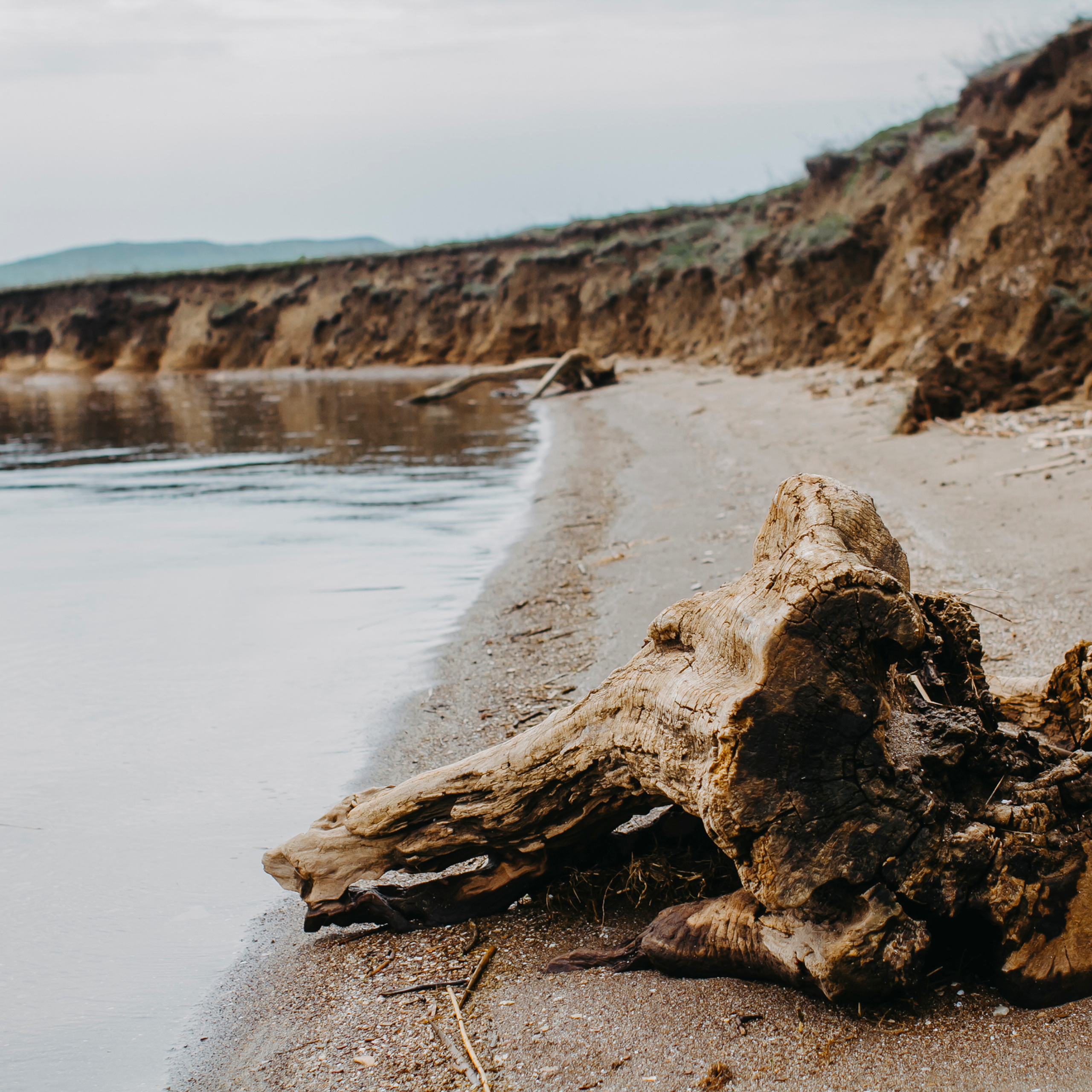 Хвалынские яблоневые сады (май 2019)