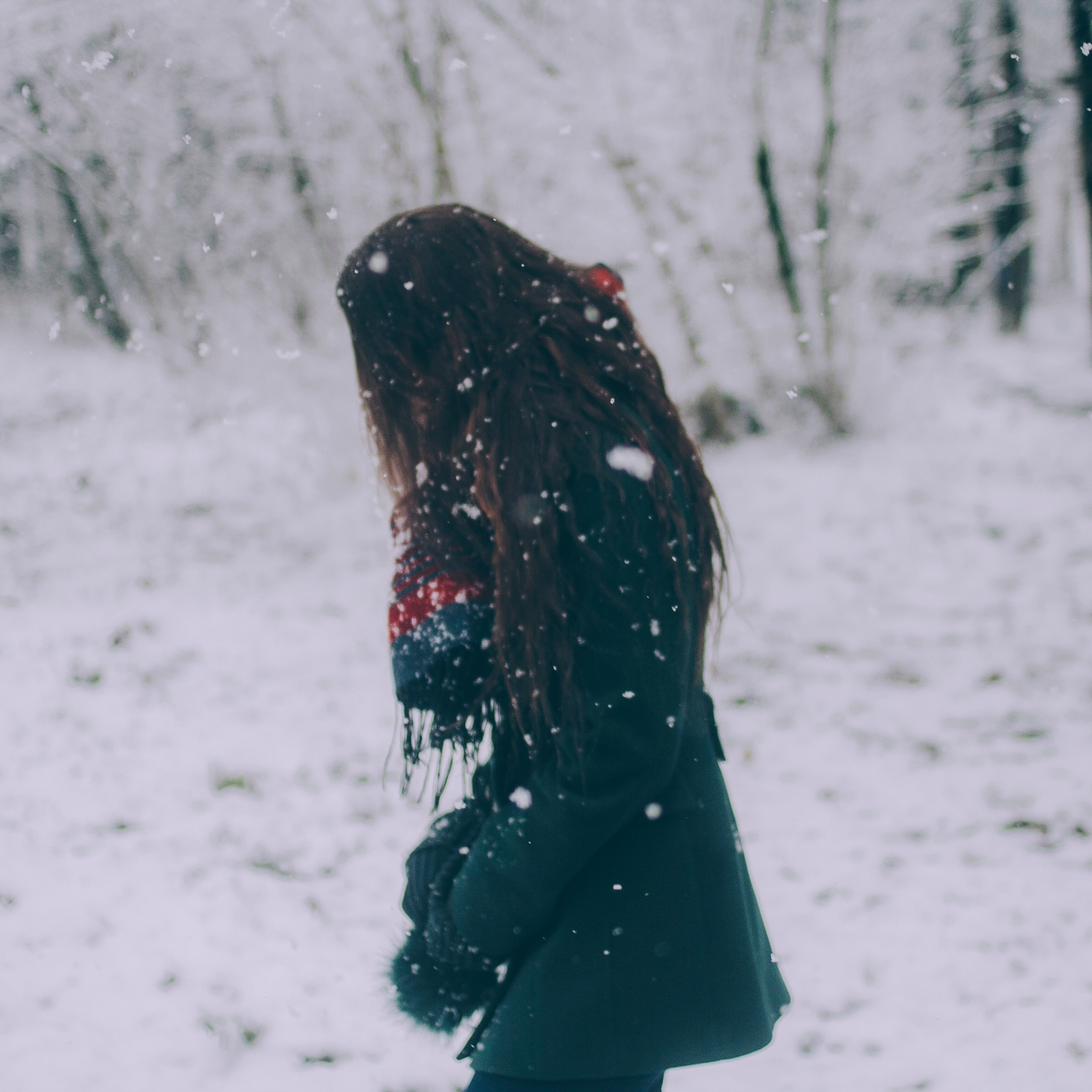 Сочи (декабрь 2017)