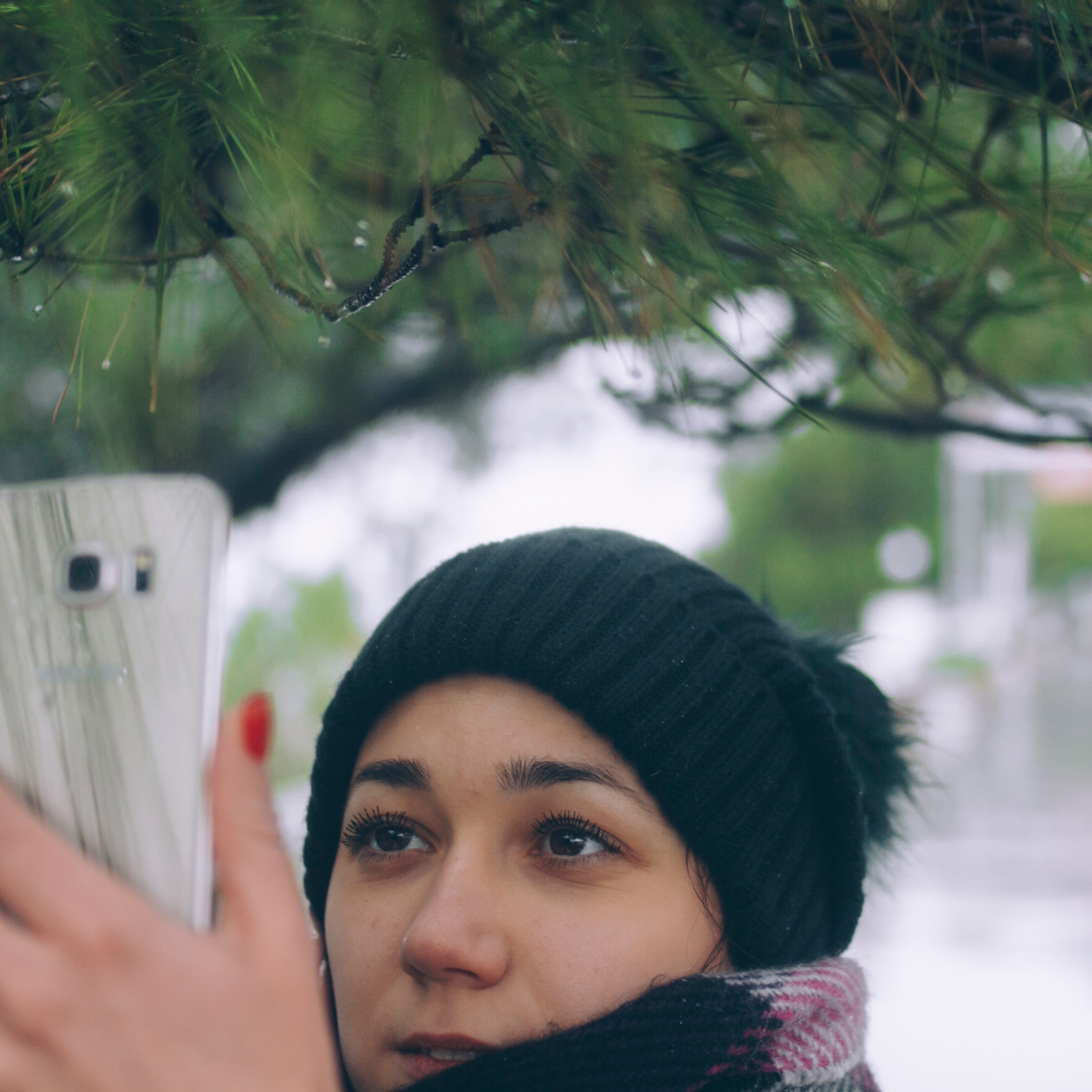 Сочи (декабрь 2017)