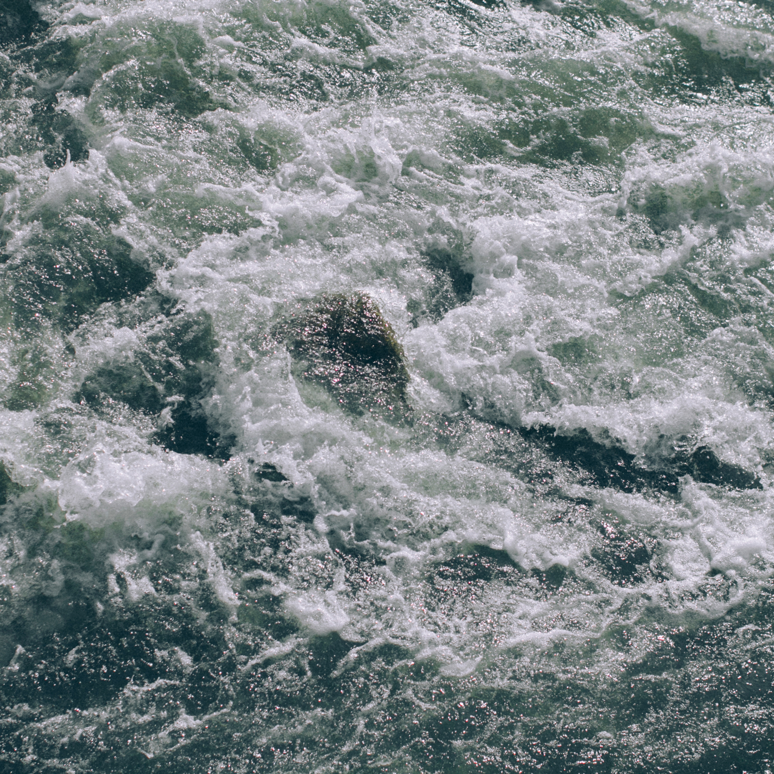 Сочи (декабрь 2017)