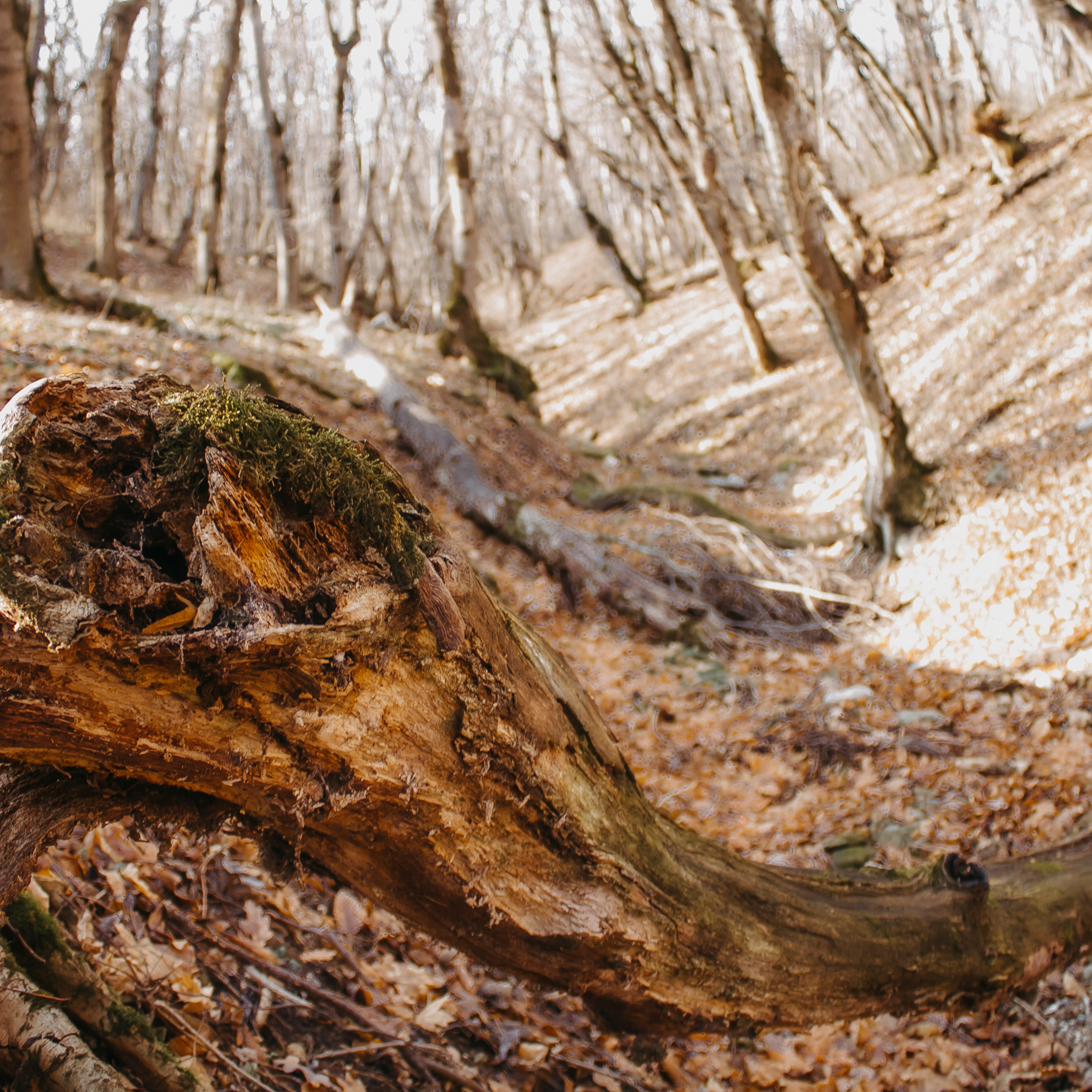 Мин воды (Новый год 2020)