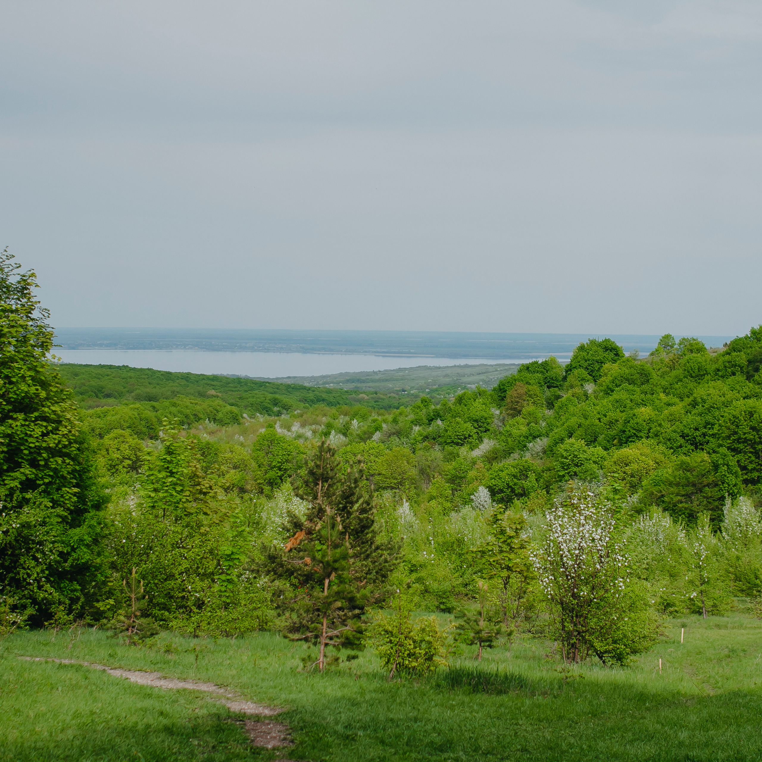 Хвалынские яблоневые сады (май 2019)