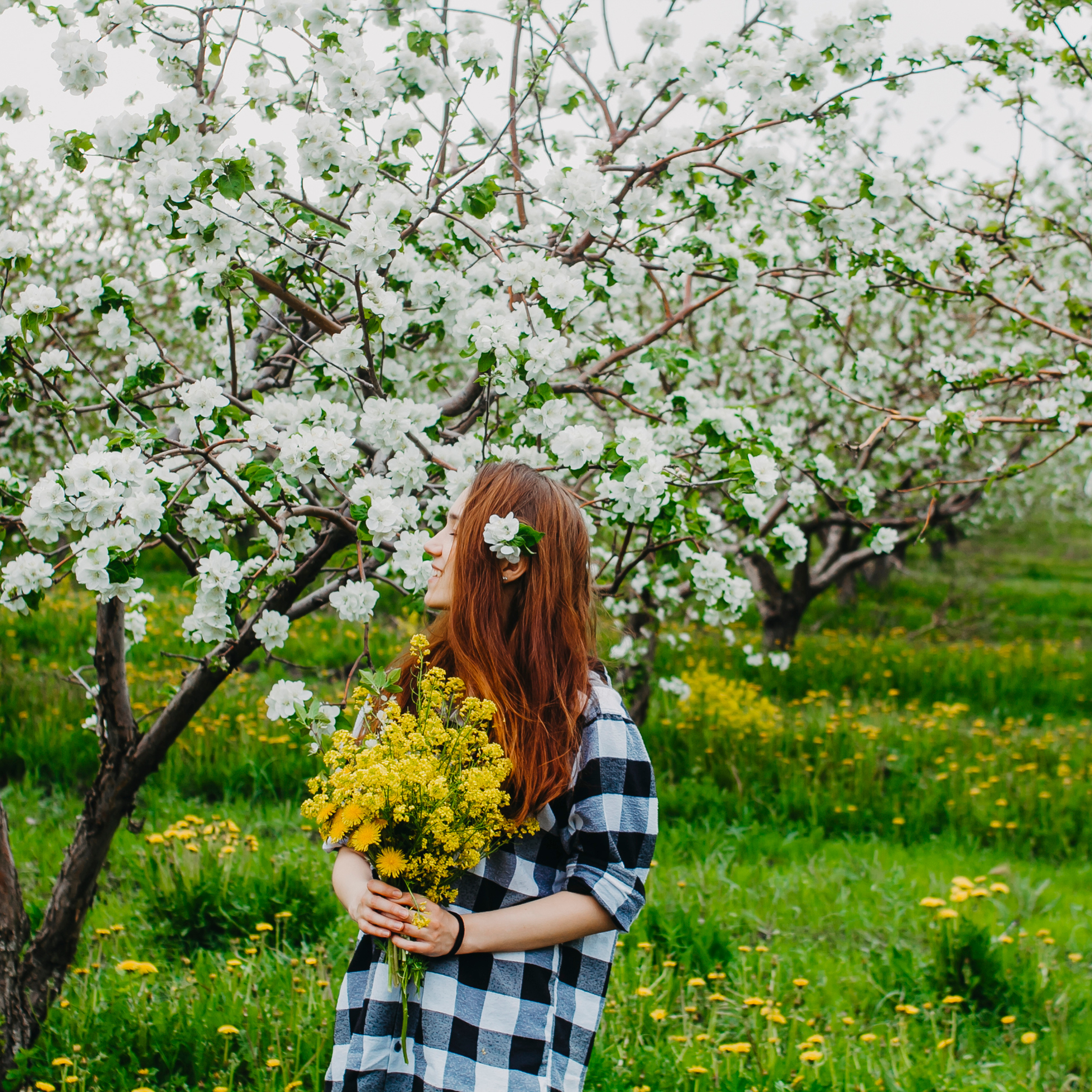 Хвалынские яблоневые сады (май 2019)