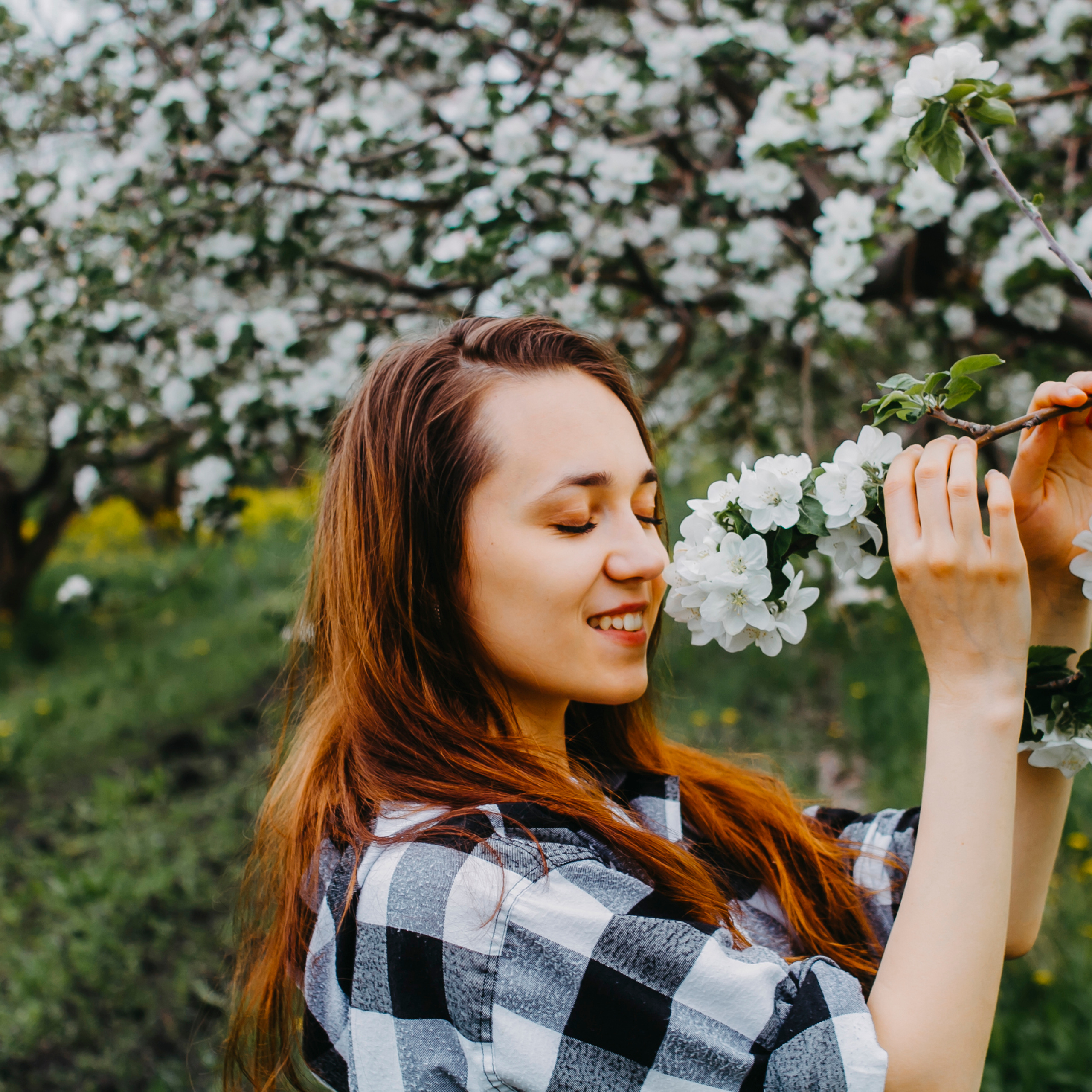 Хвалынские яблоневые сады (май 2019)