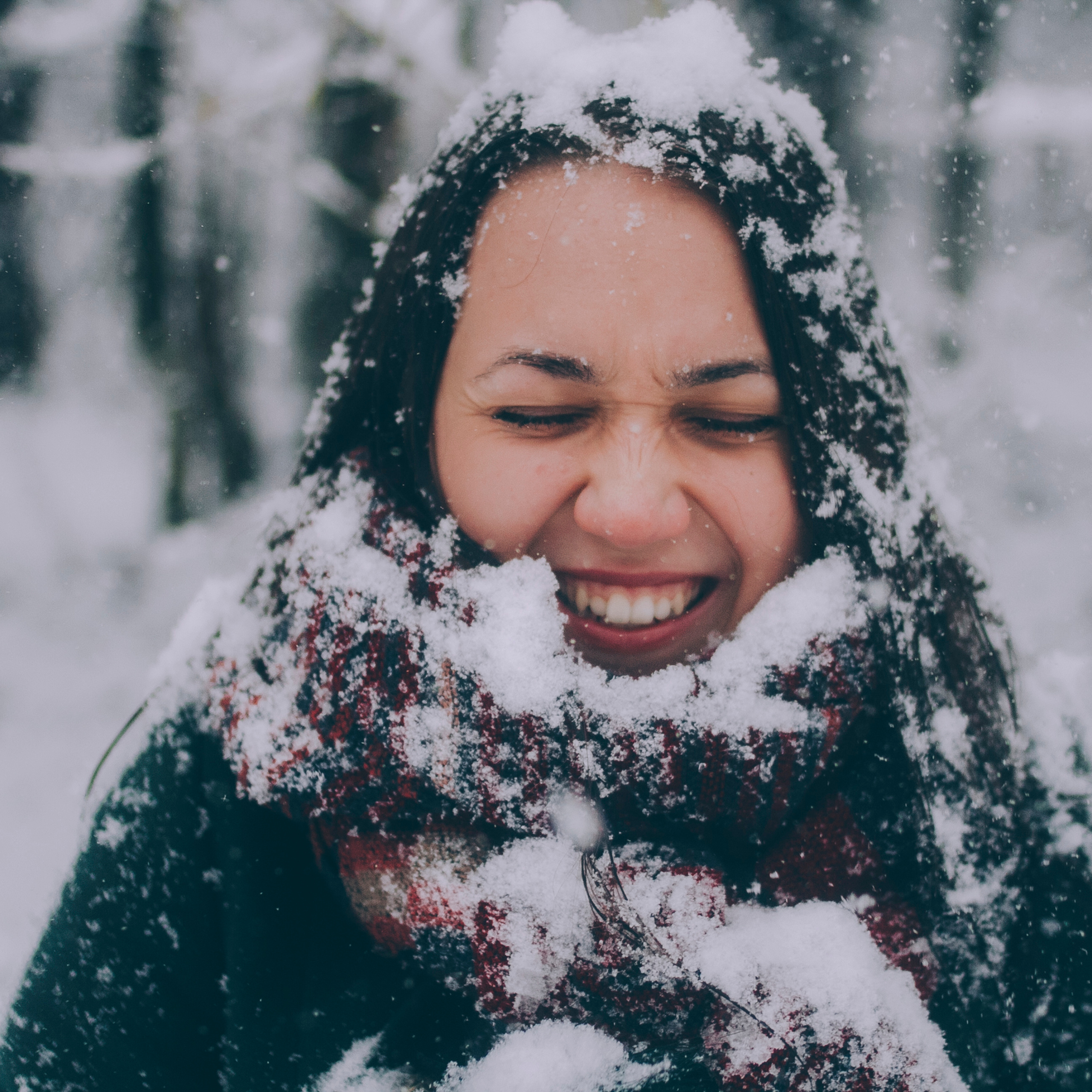 Сочи (декабрь 2017)