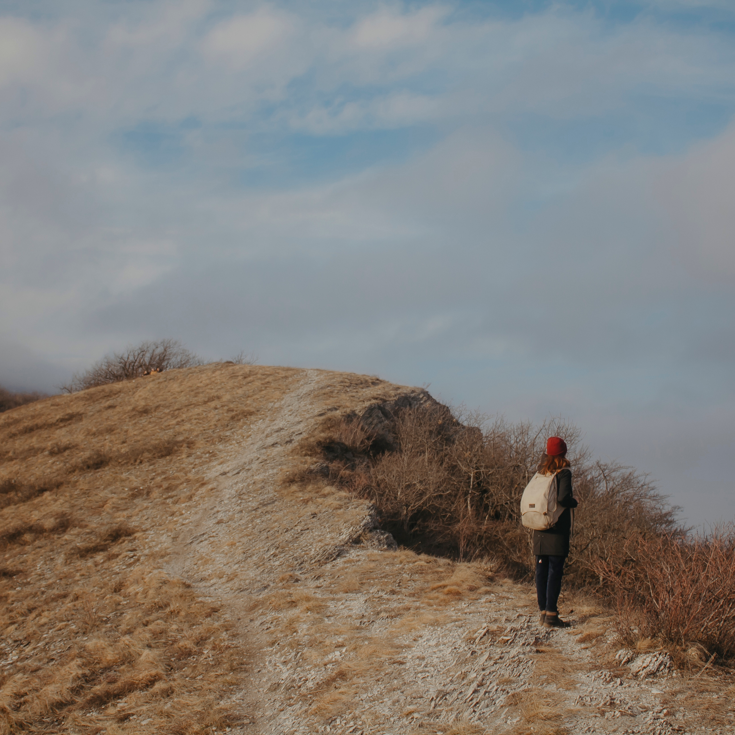 Мин воды (Новый год 2020)