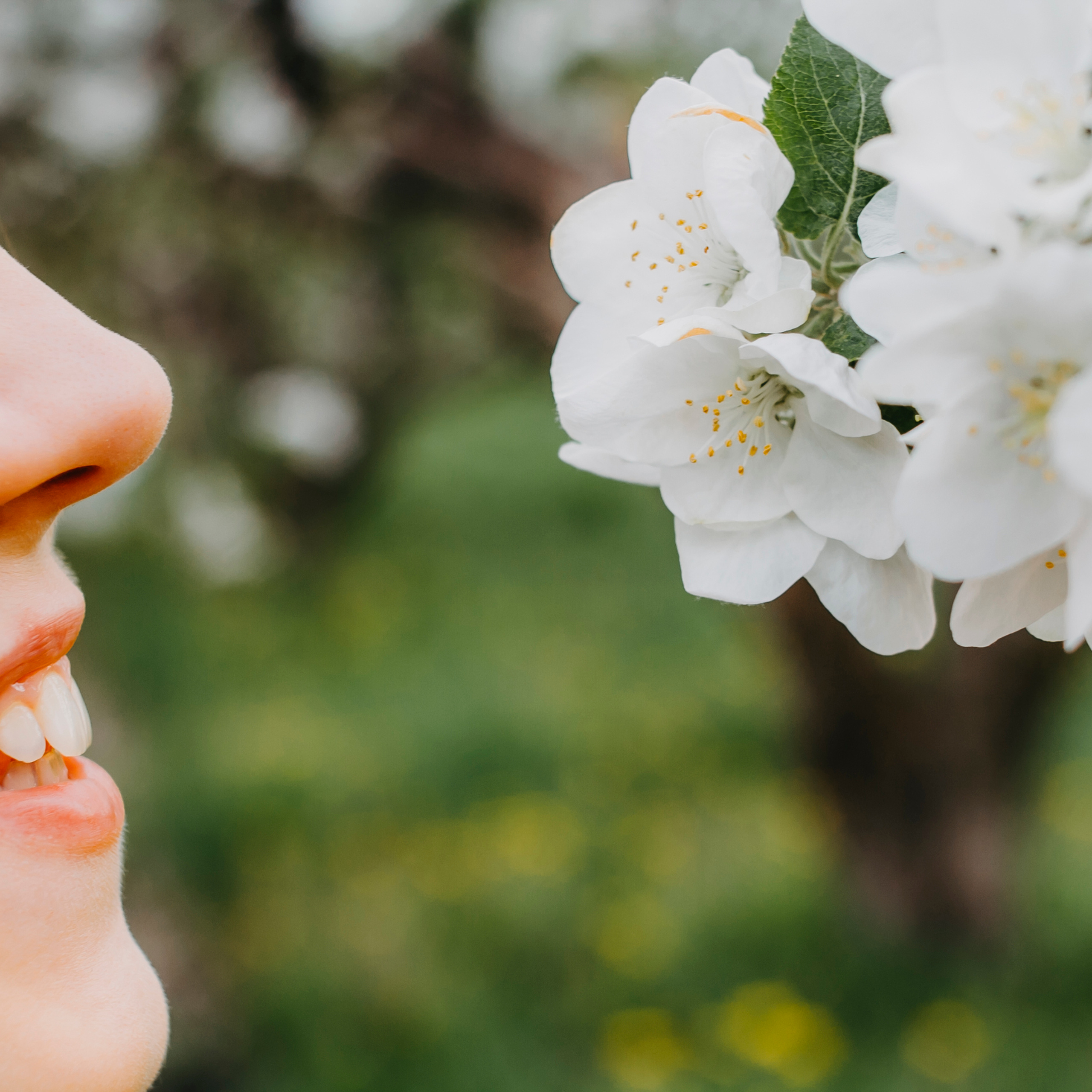 Хвалынские яблоневые сады (май 2019)