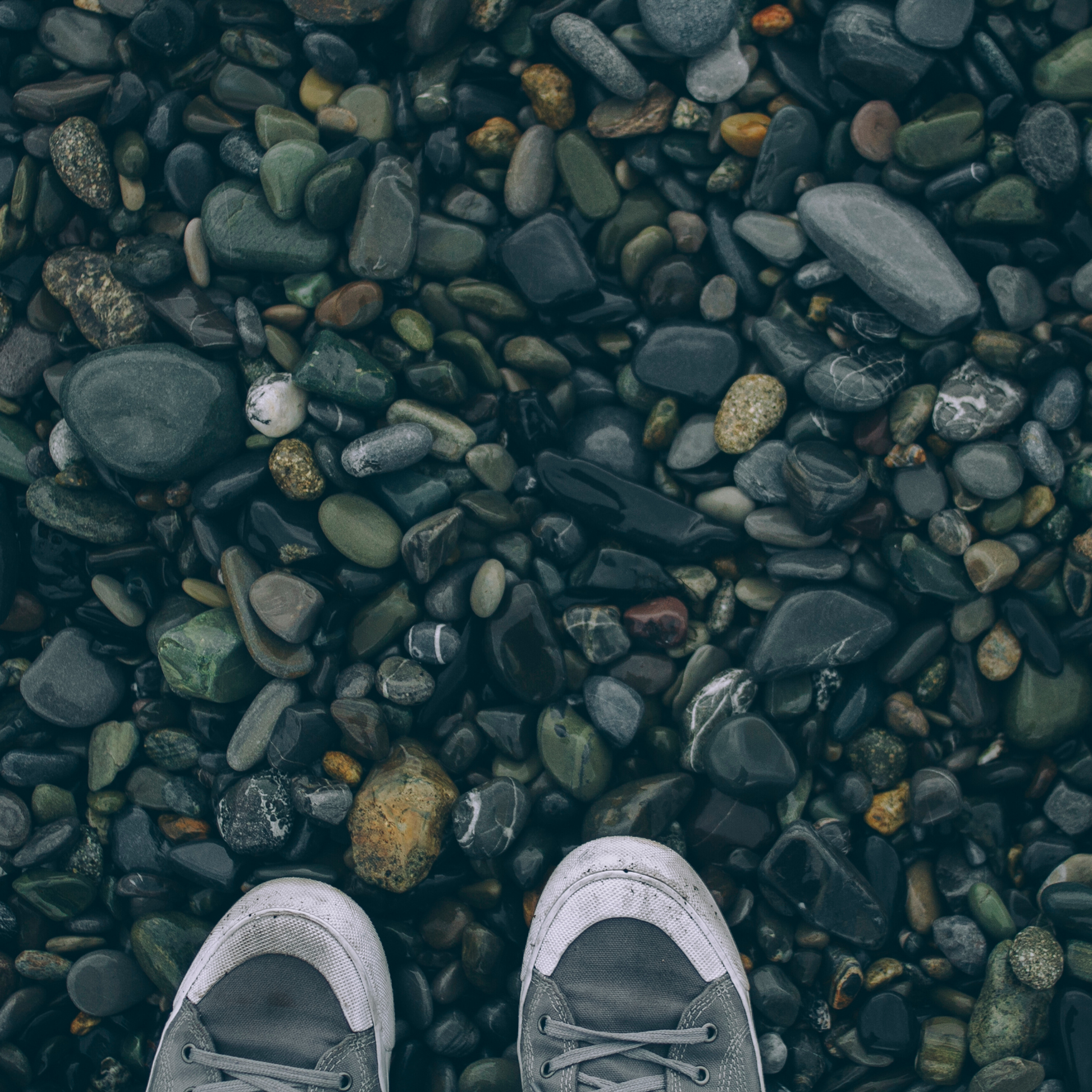 Сочи (декабрь 2017)