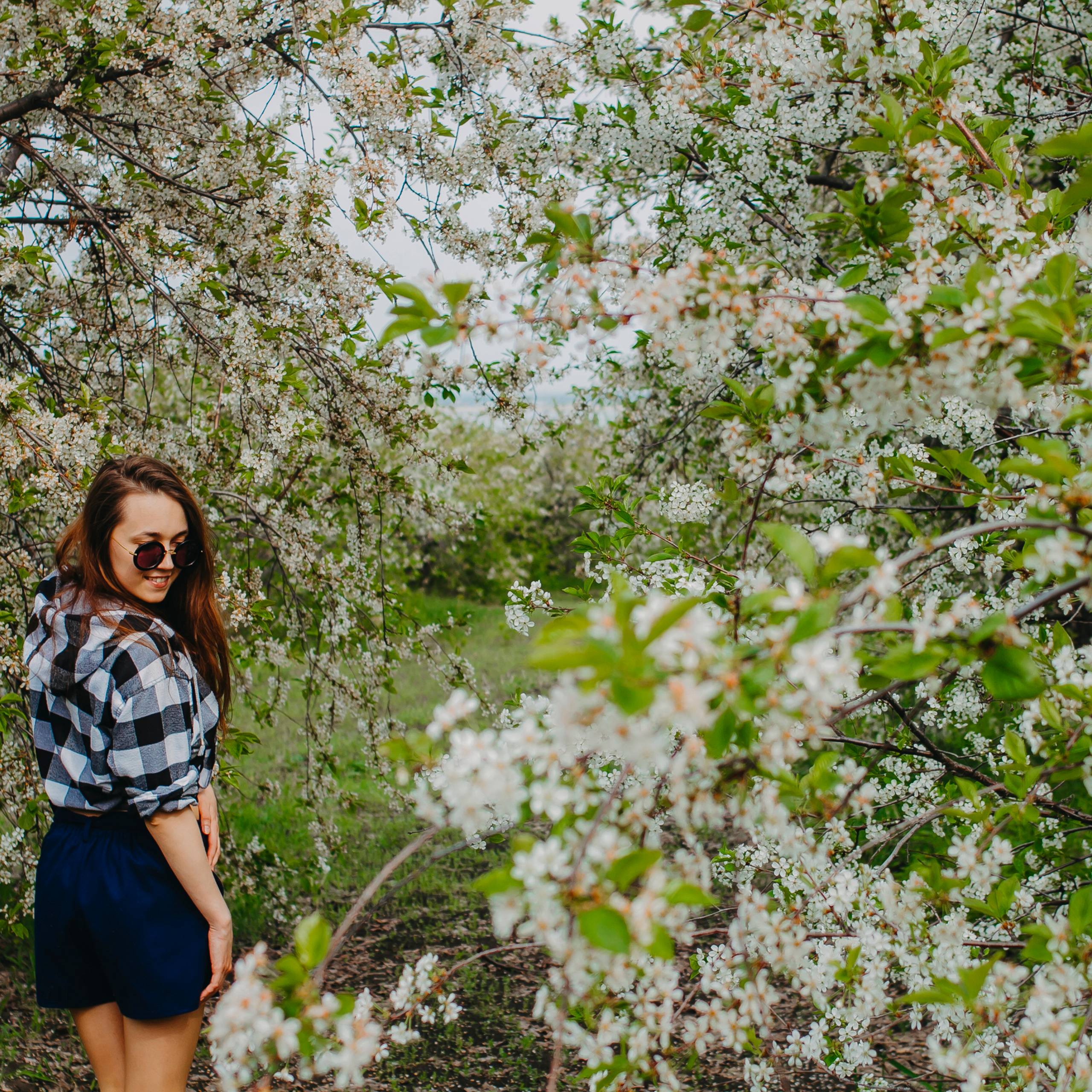 Хвалынские яблоневые сады (май 2019)