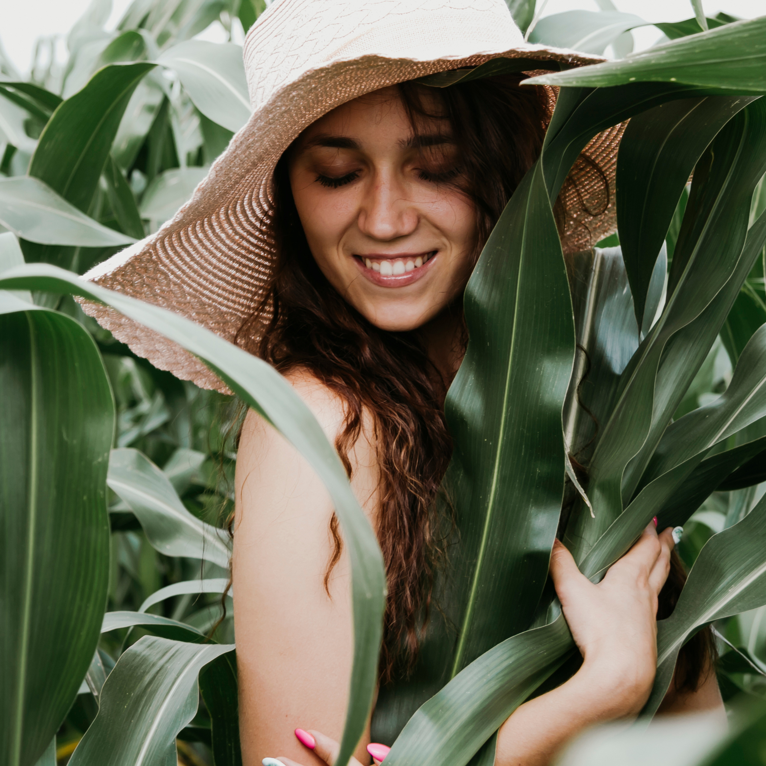 Кукурузные поля (август 2019)