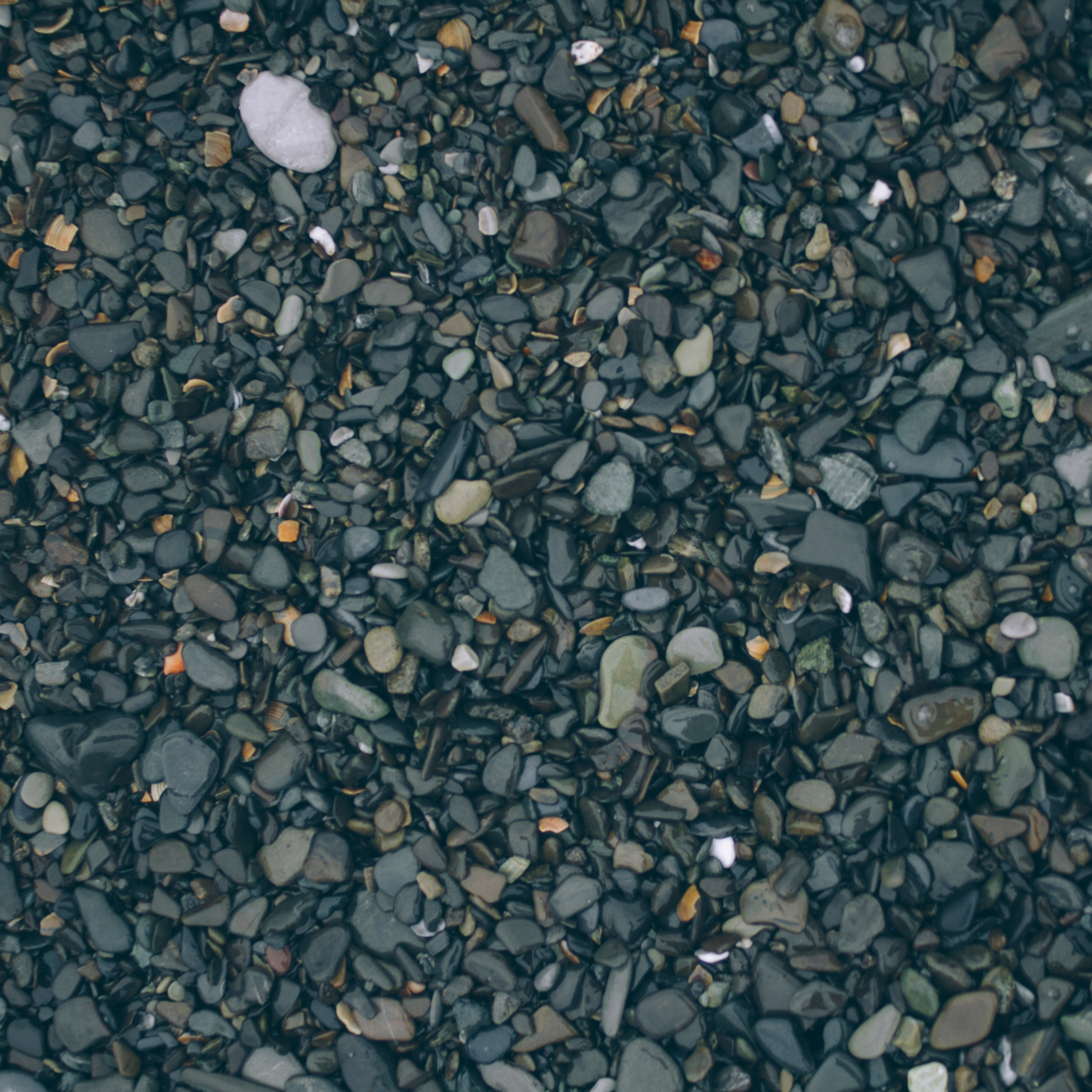 Сочи (декабрь 2017)