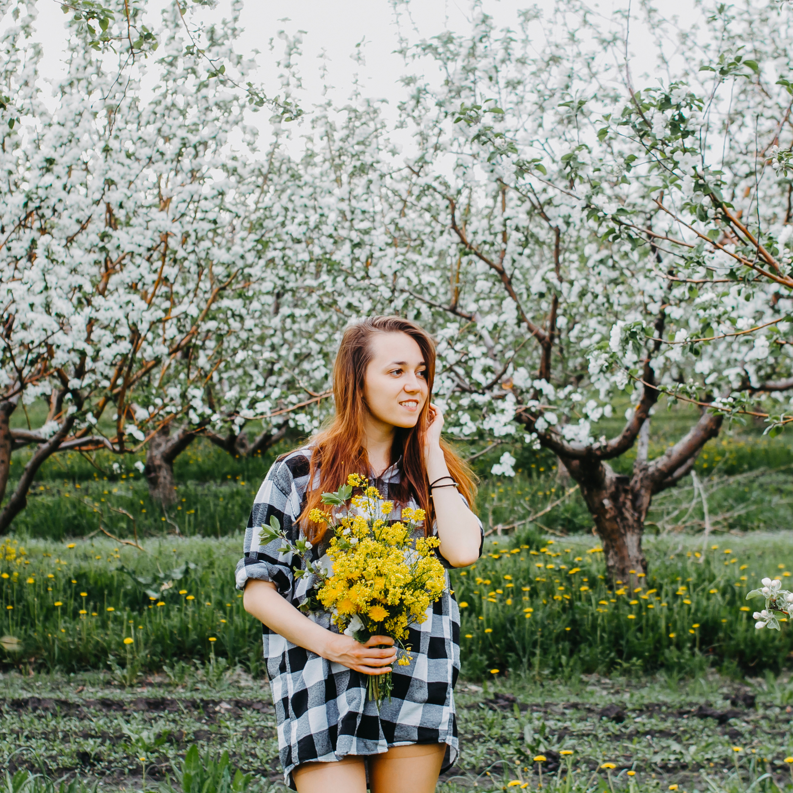 Хвалынские яблоневые сады (май 2019)