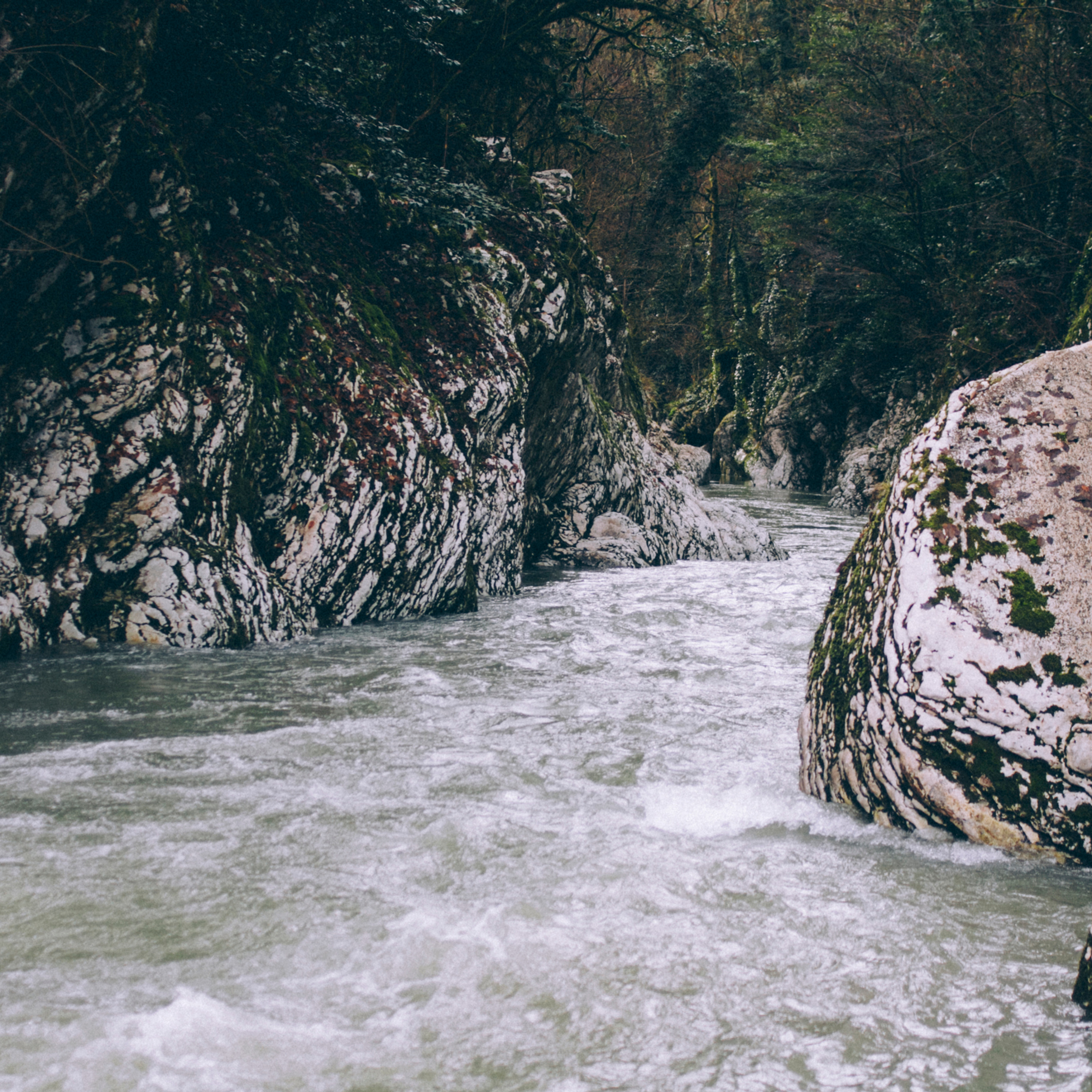Сочи (декабрь 2017)