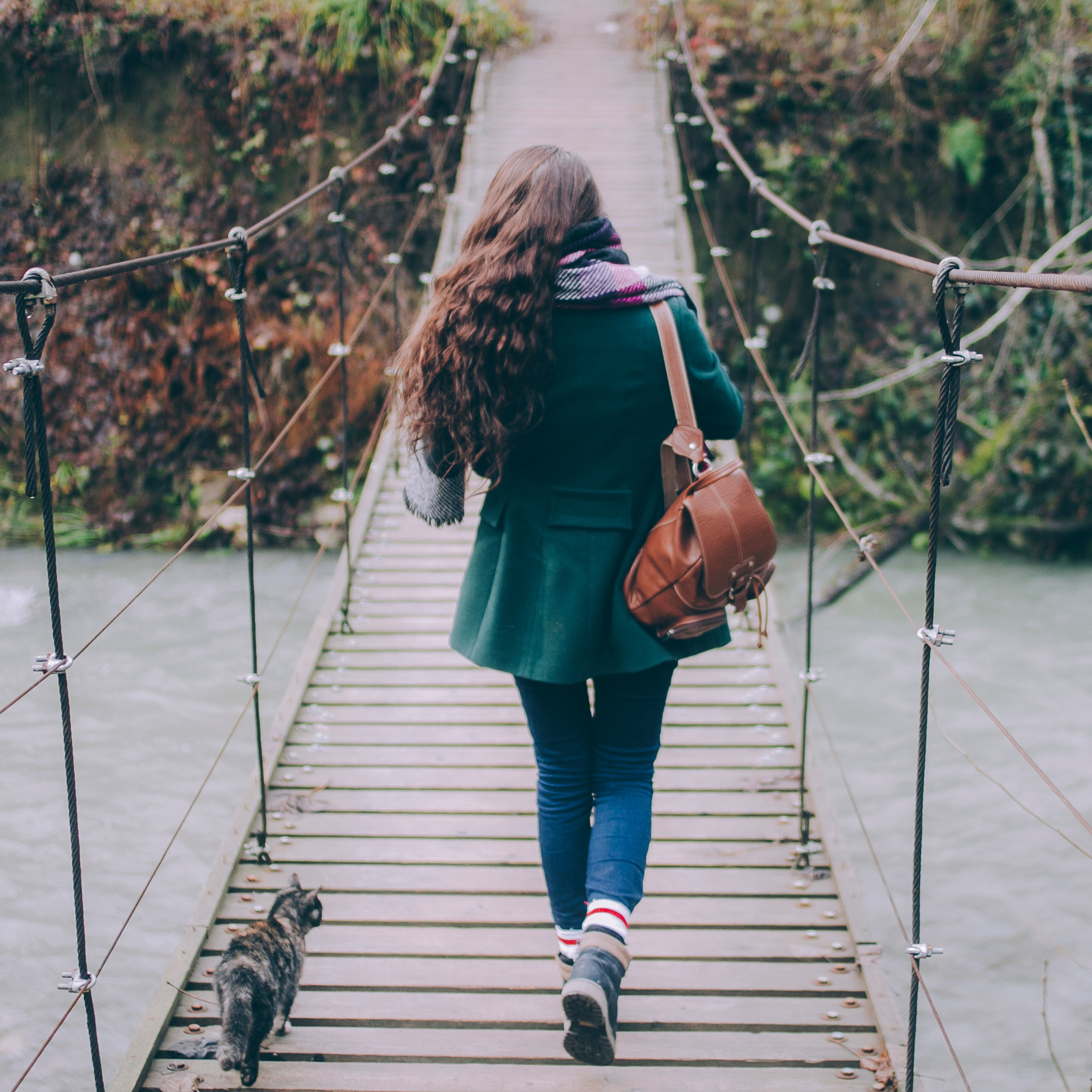 Сочи (декабрь 2017)