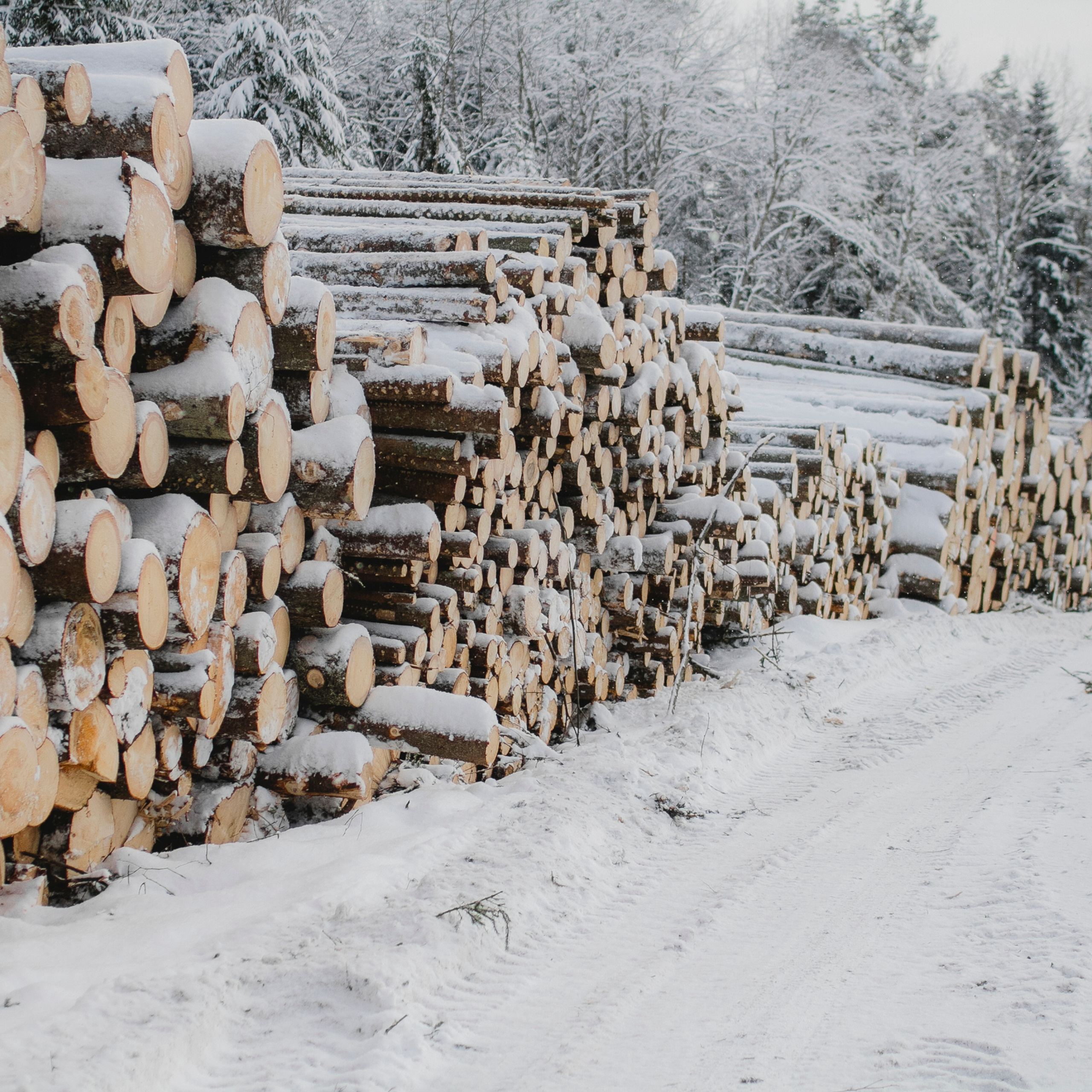 Рускеала Карелия (февраль 2018)