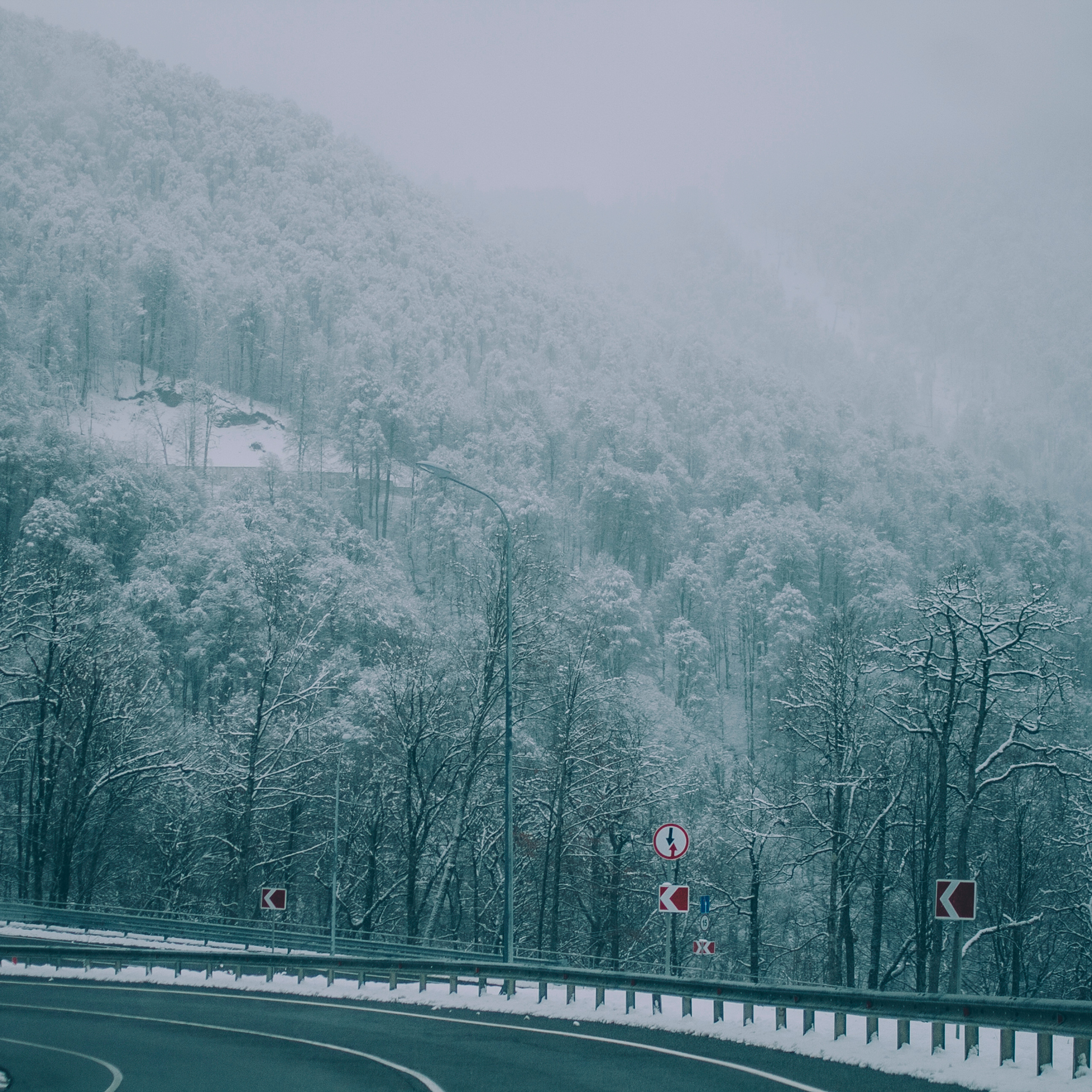 Сочи (декабрь 2017)