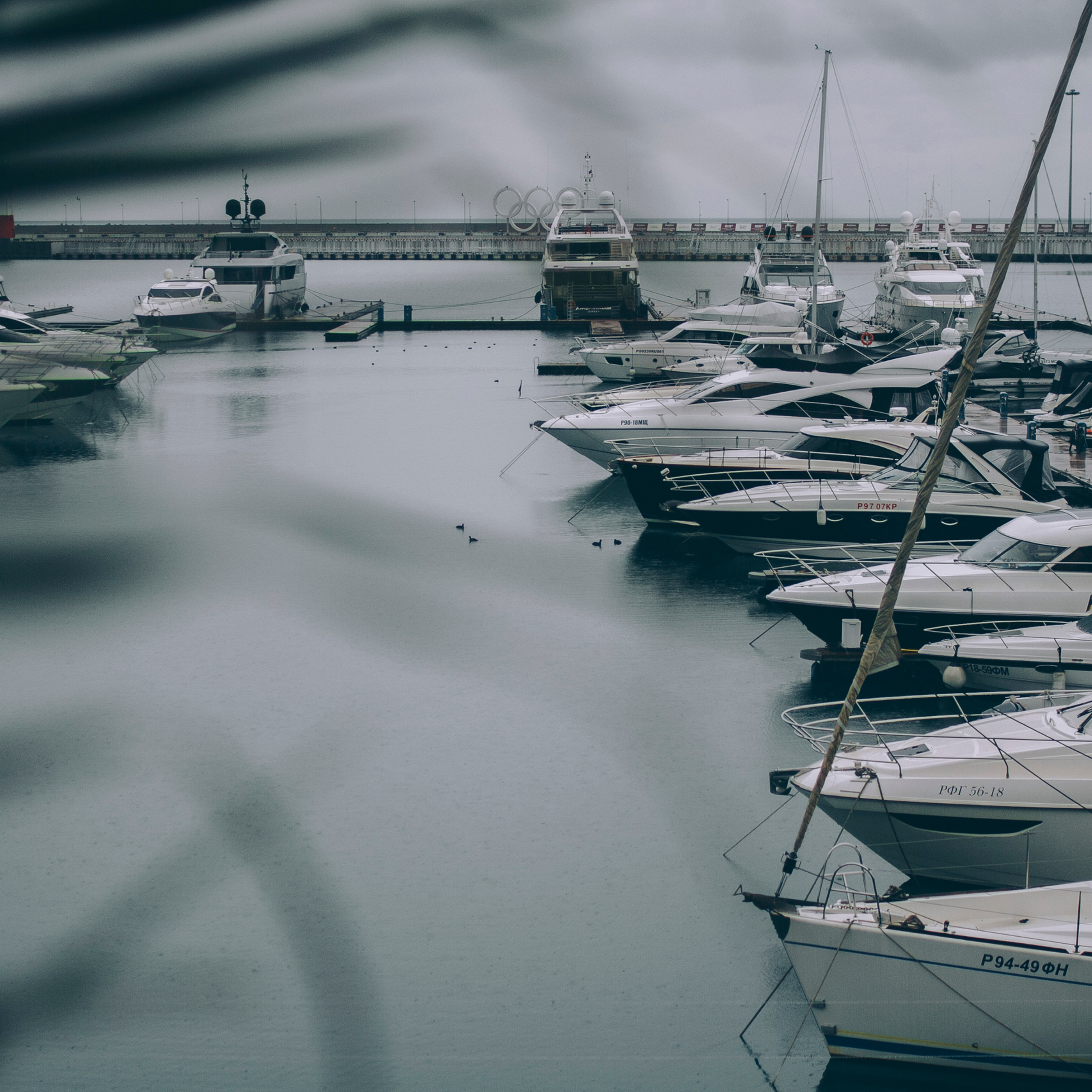 Сочи (декабрь 2017)