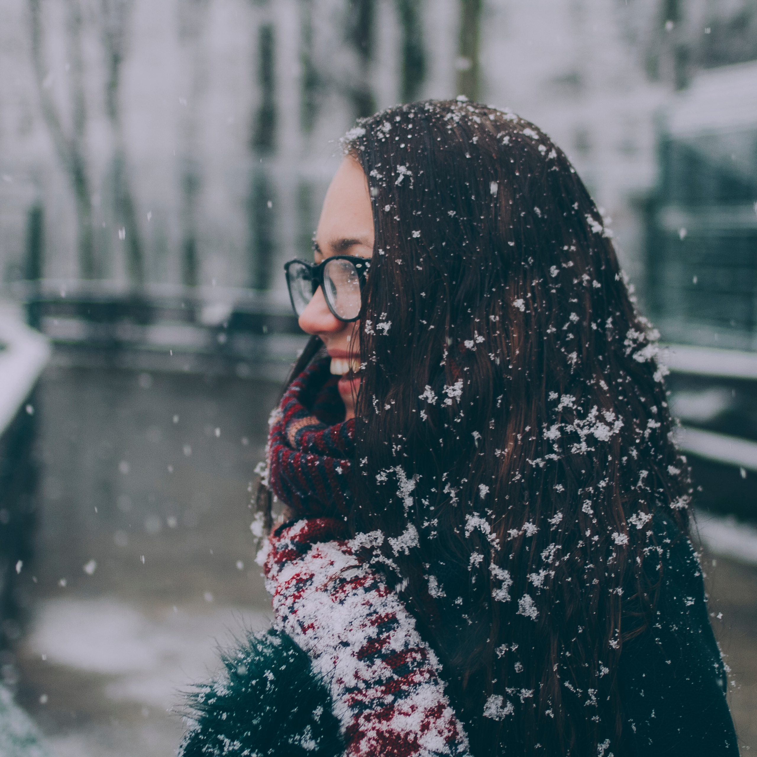 Сочи (декабрь 2017)