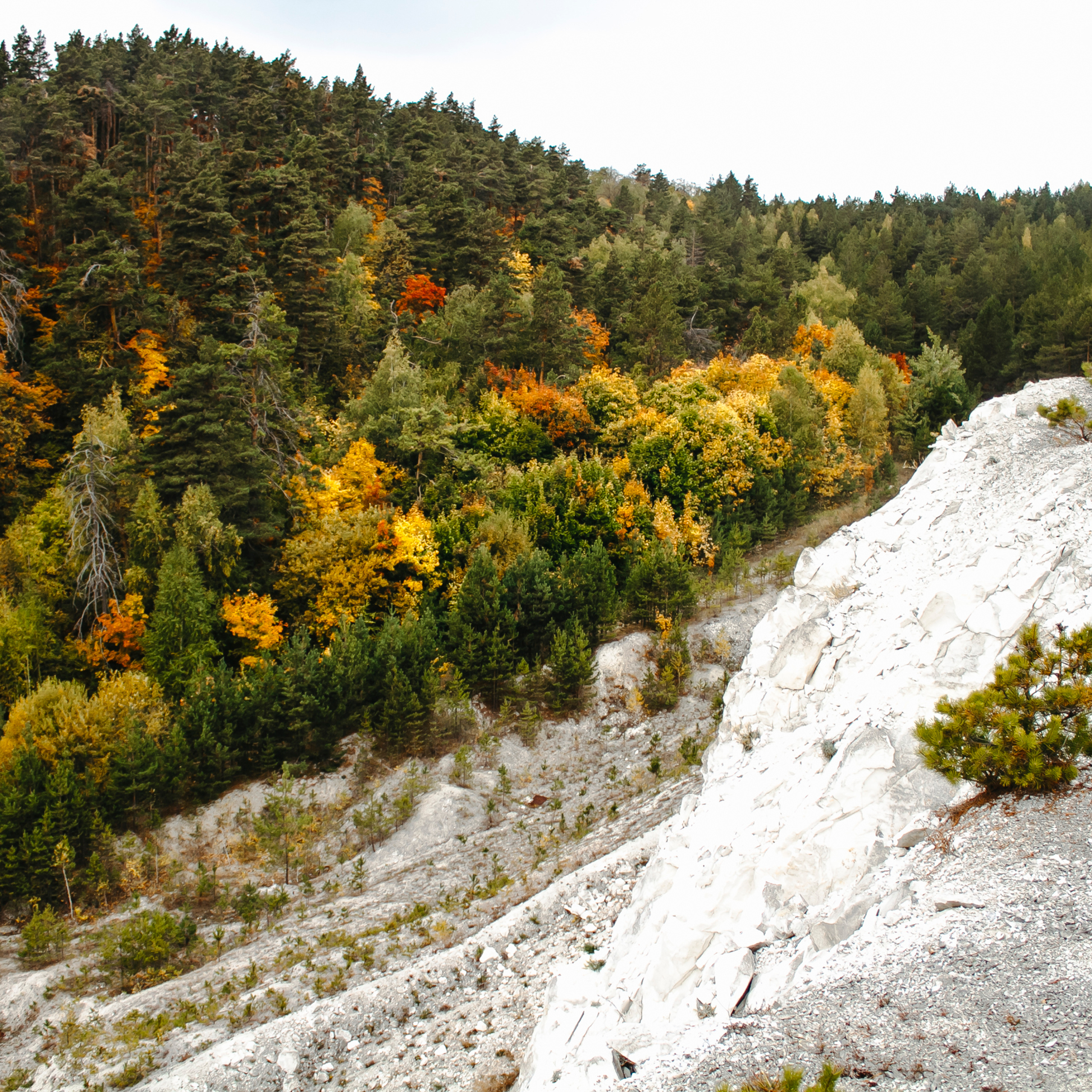 Хвалынский меловой карьер (сентябрь 2019)