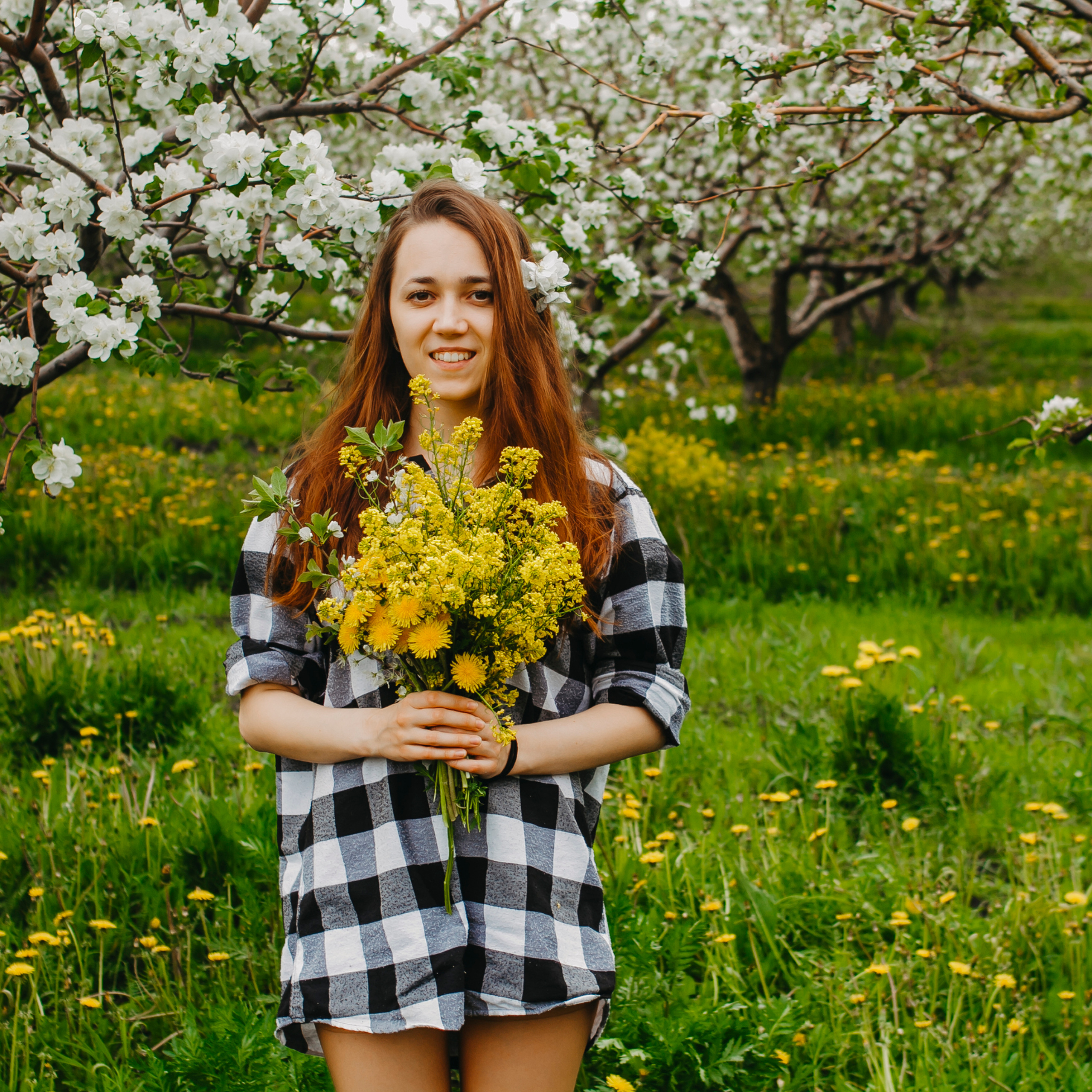 Хвалынские яблоневые сады (май 2019)