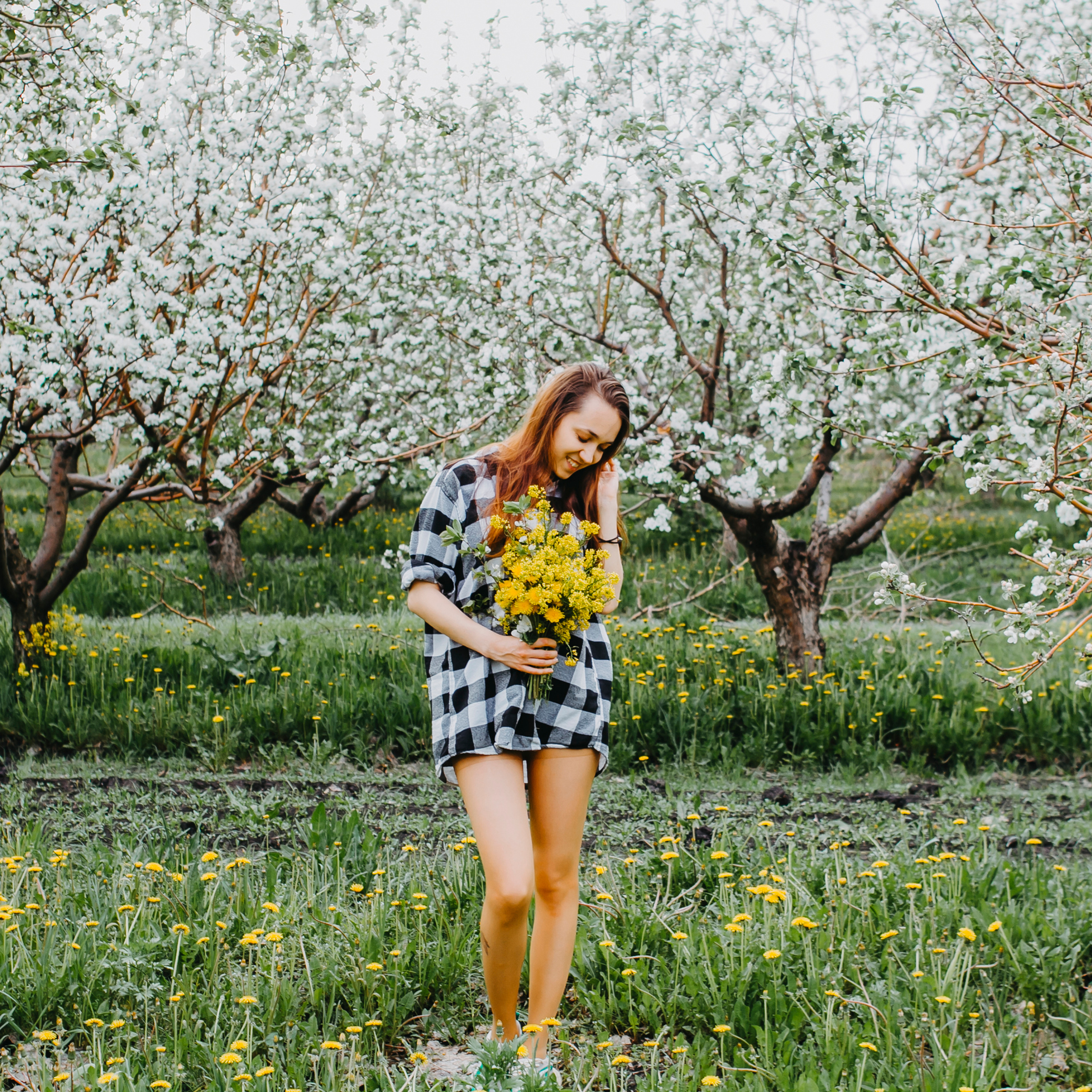 Хвалынские яблоневые сады (май 2019)