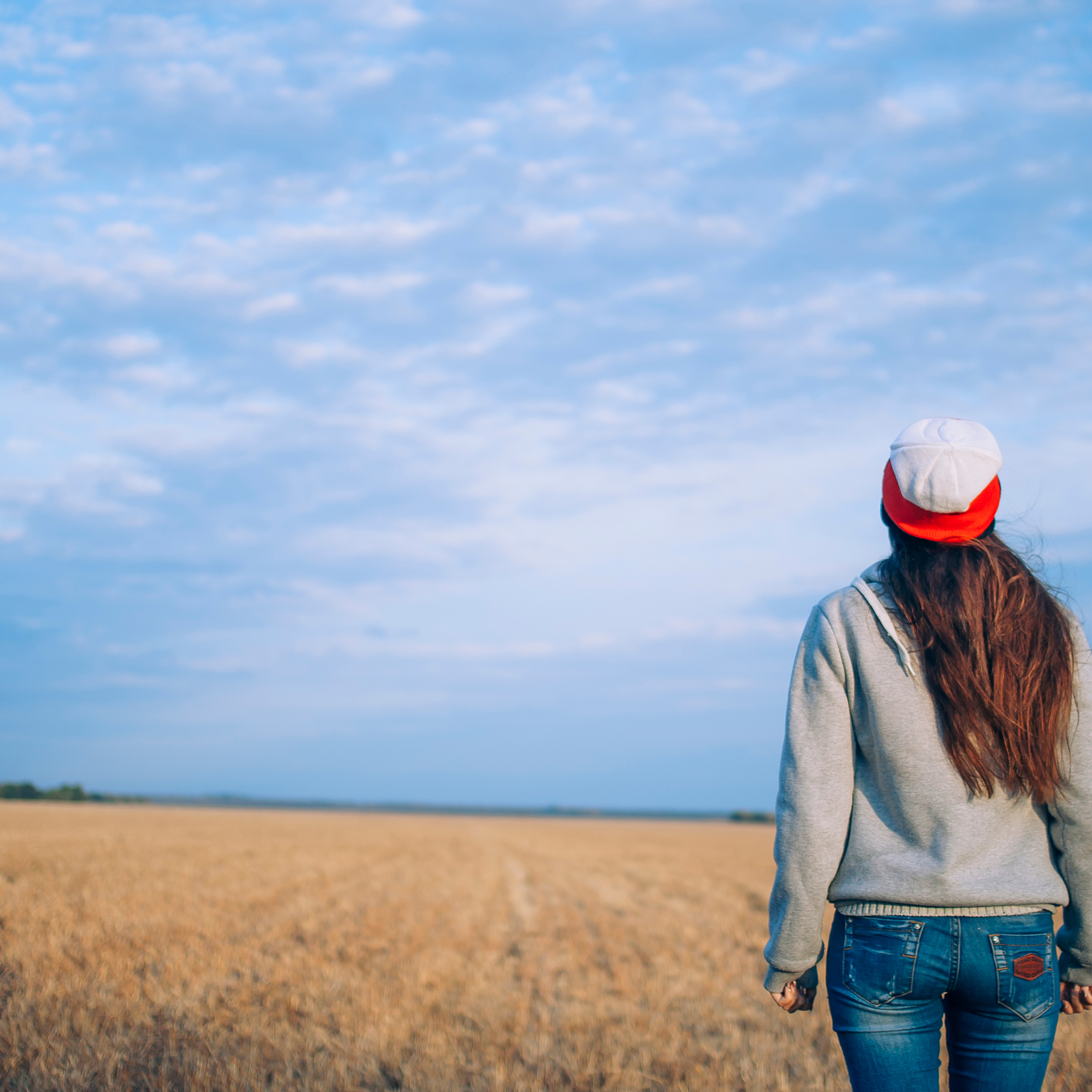 Поле у АЭС Балаково (октябрь 2018)