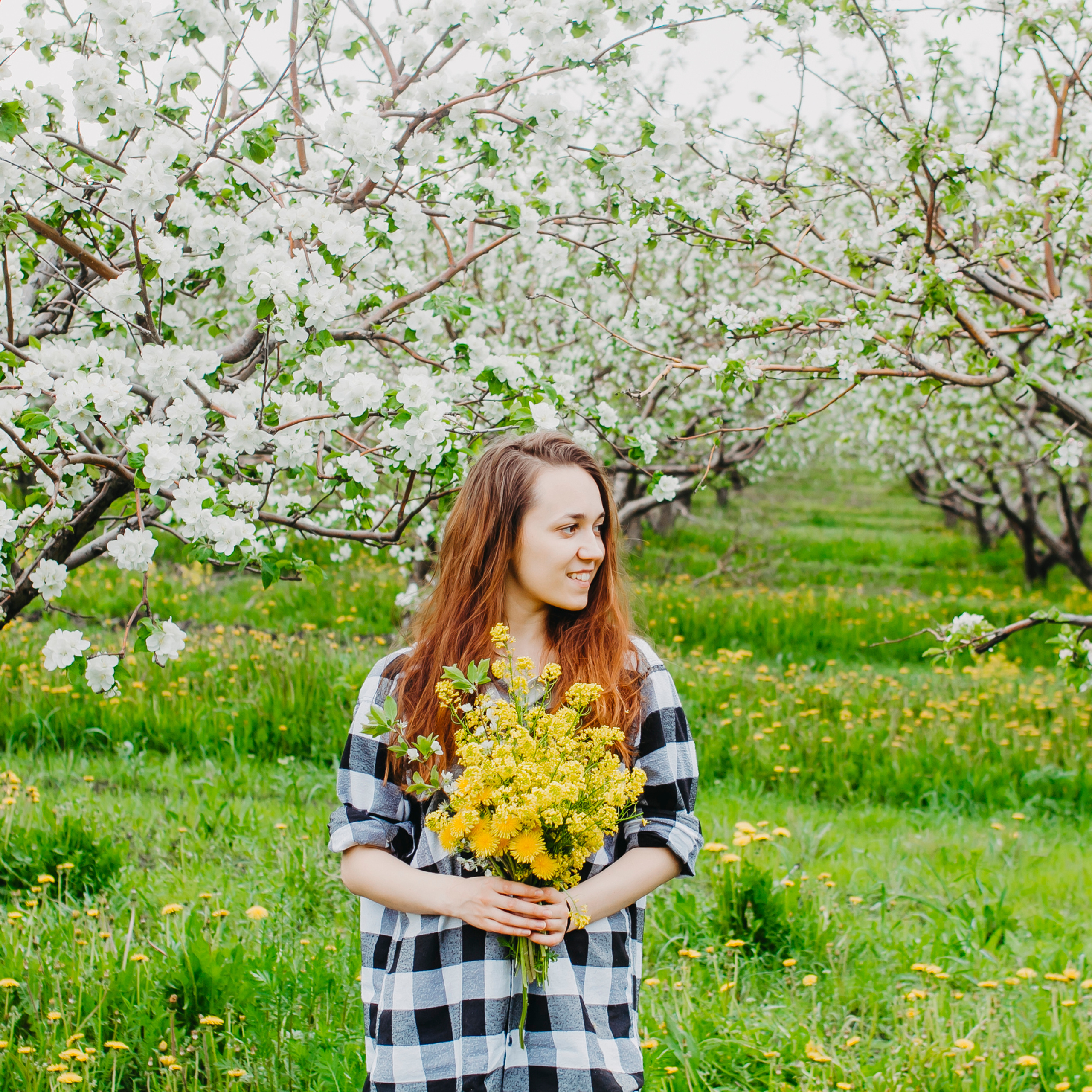 Хвалынские яблоневые сады (май 2019)