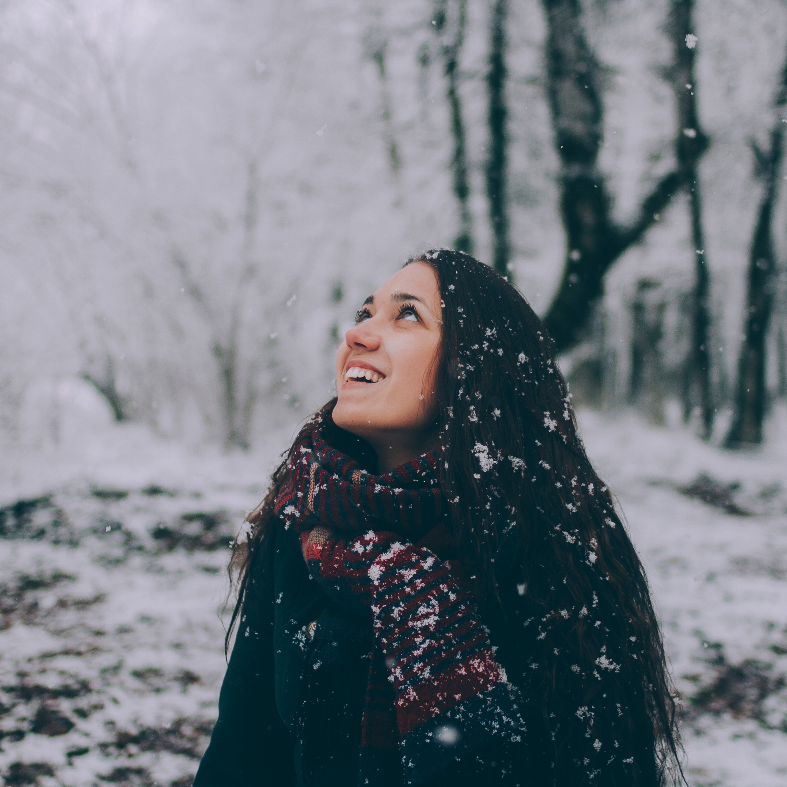 Сочи (декабрь 2017)