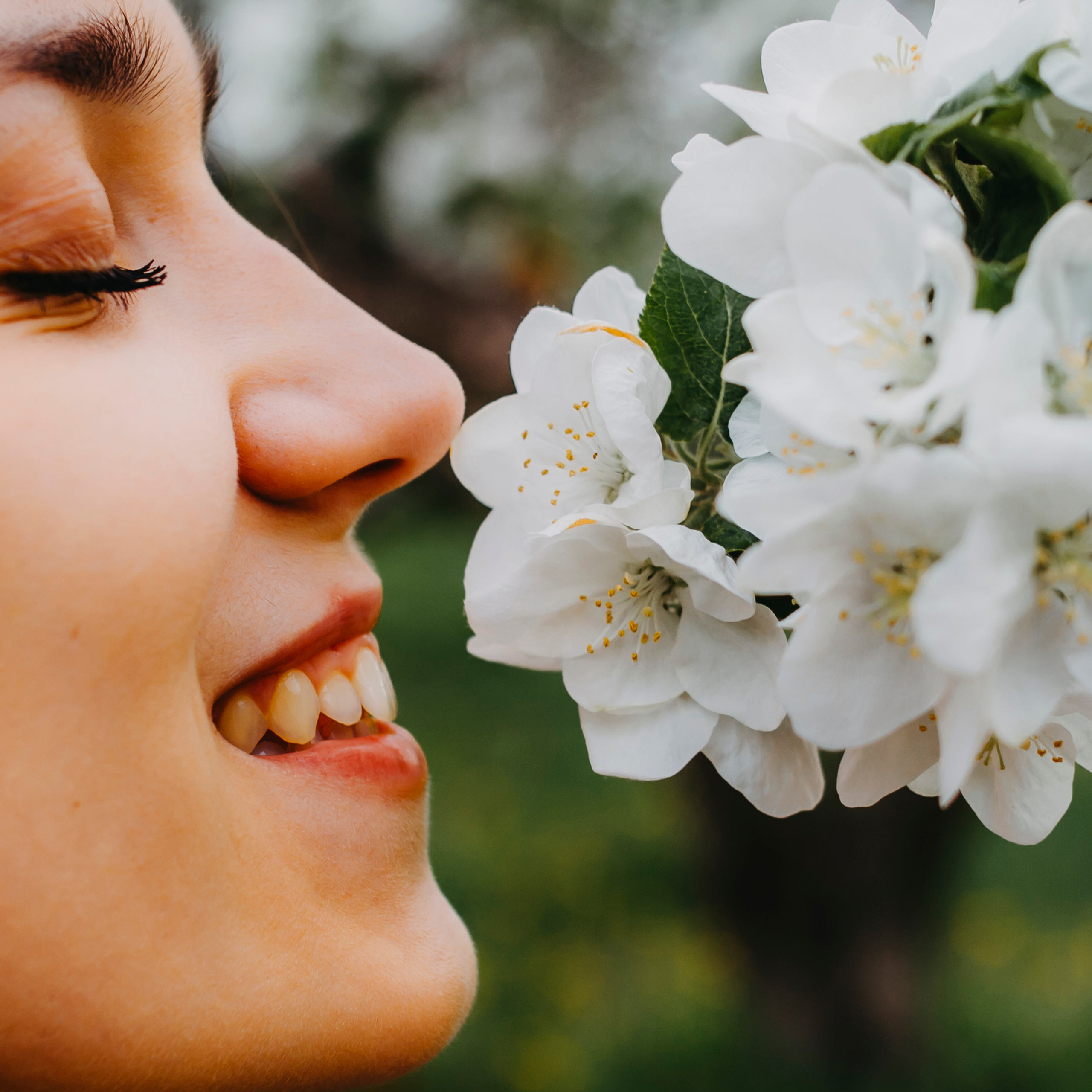 Хвалынские яблоневые сады (май 2019)