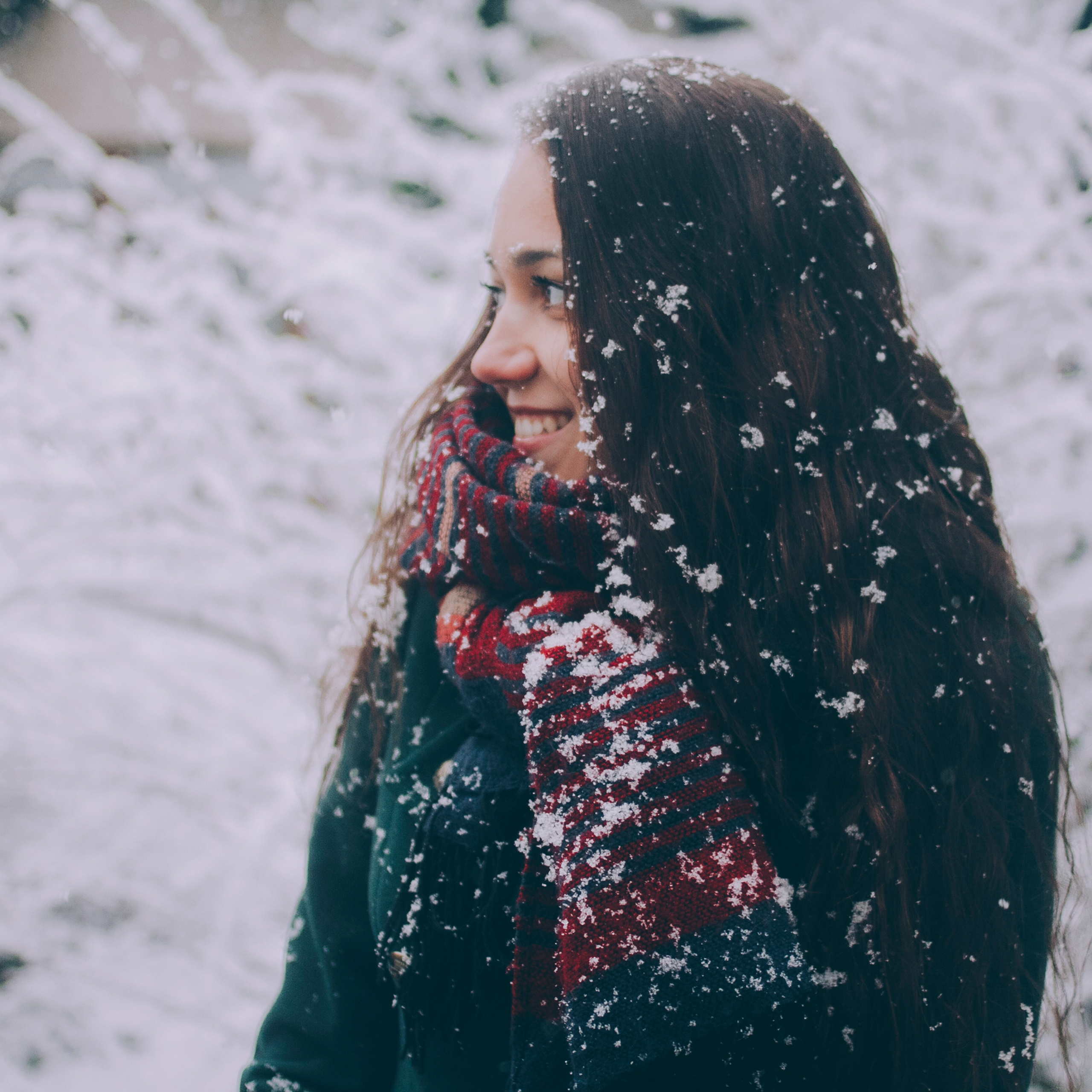 Сочи (декабрь 2017)