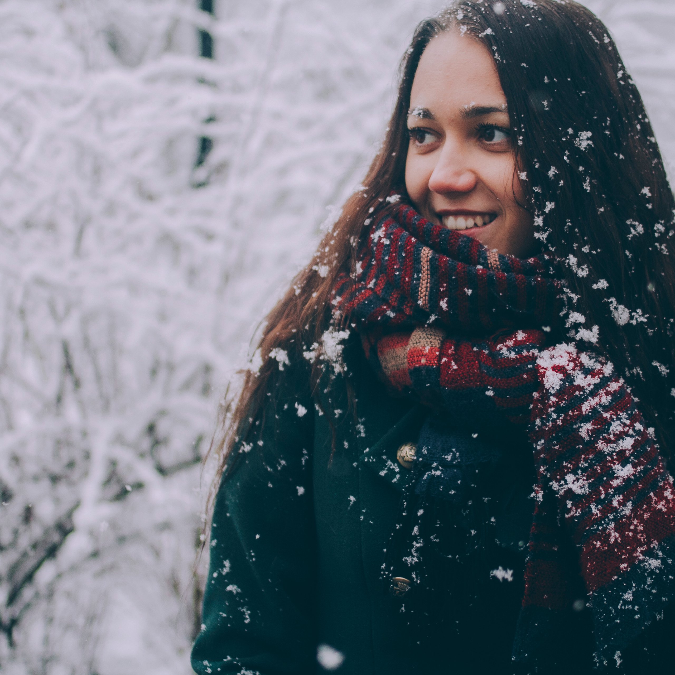 Сочи (декабрь 2017)