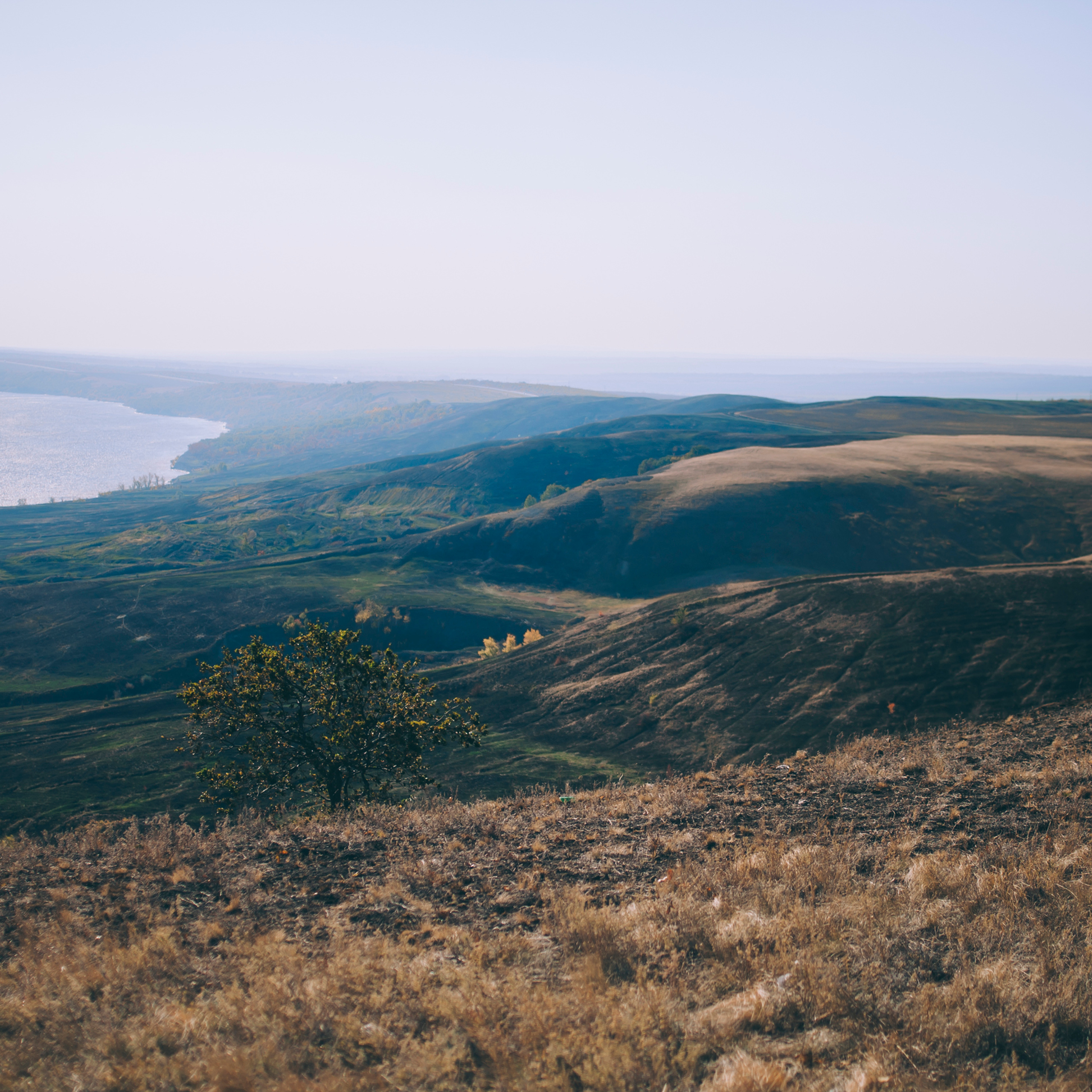 Поле у АЭС Балаково (октябрь 2018)