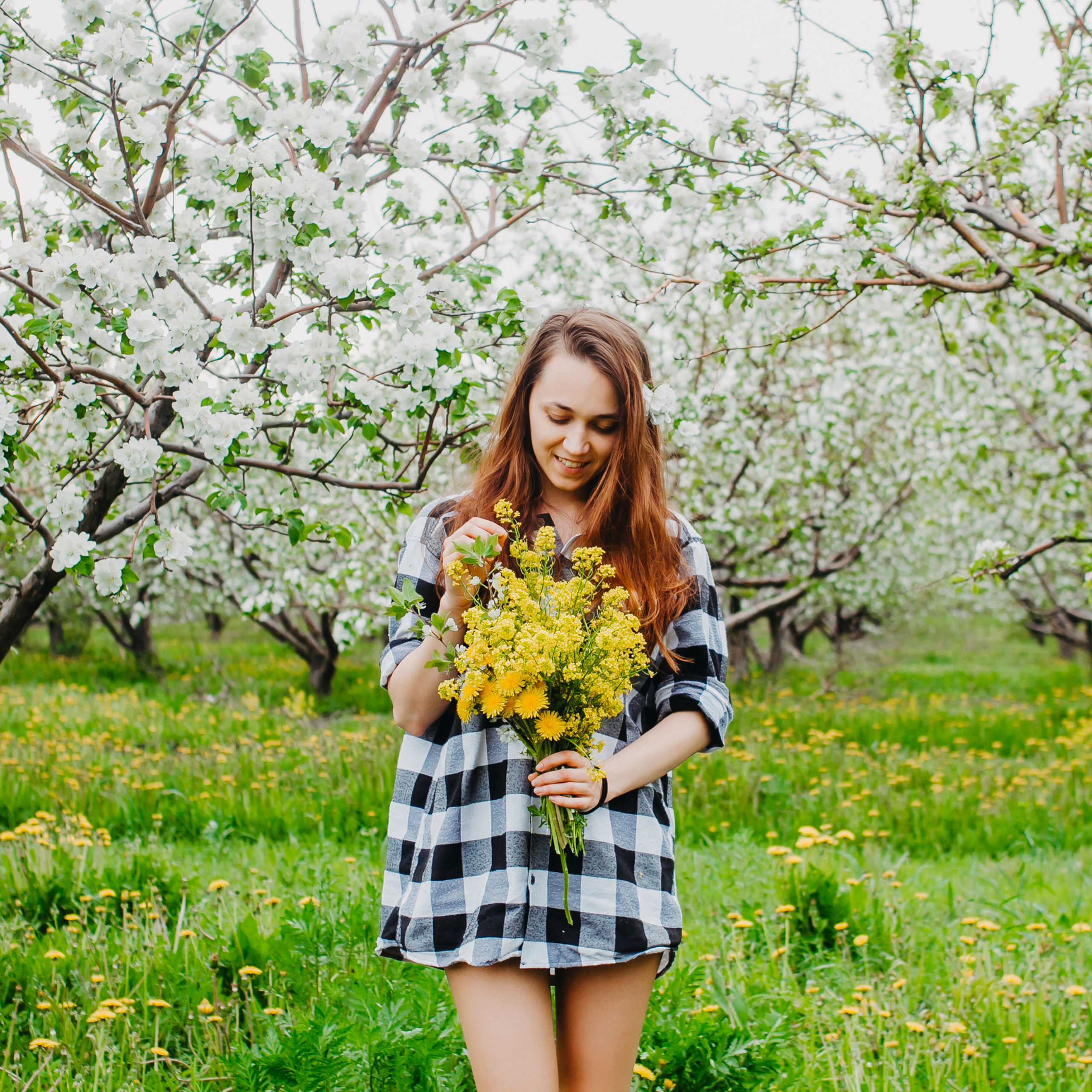 Хвалынские яблоневые сады (май 2019)