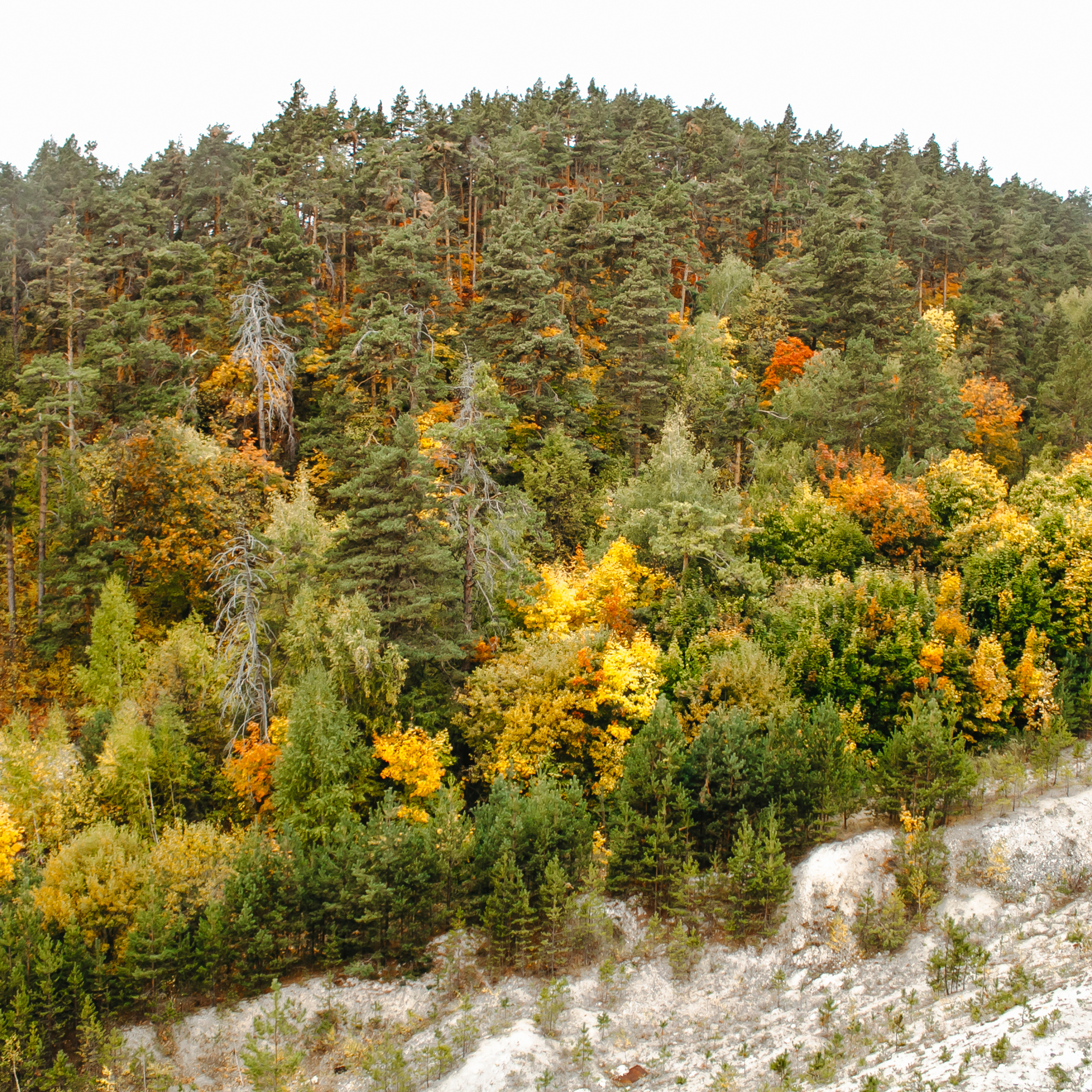 Хвалынский меловой карьер (сентябрь 2019)